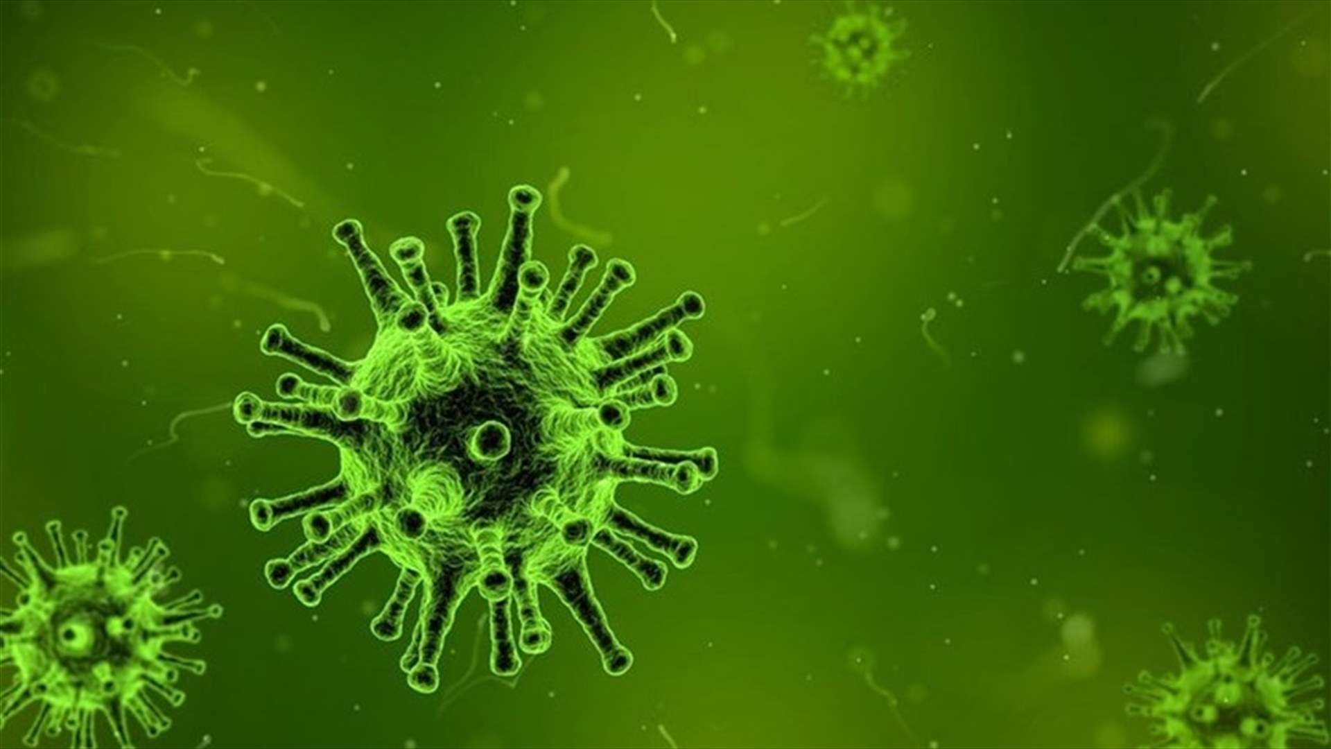 Health Ministry confirms 556 new Coronavirus cases, 10 more deaths