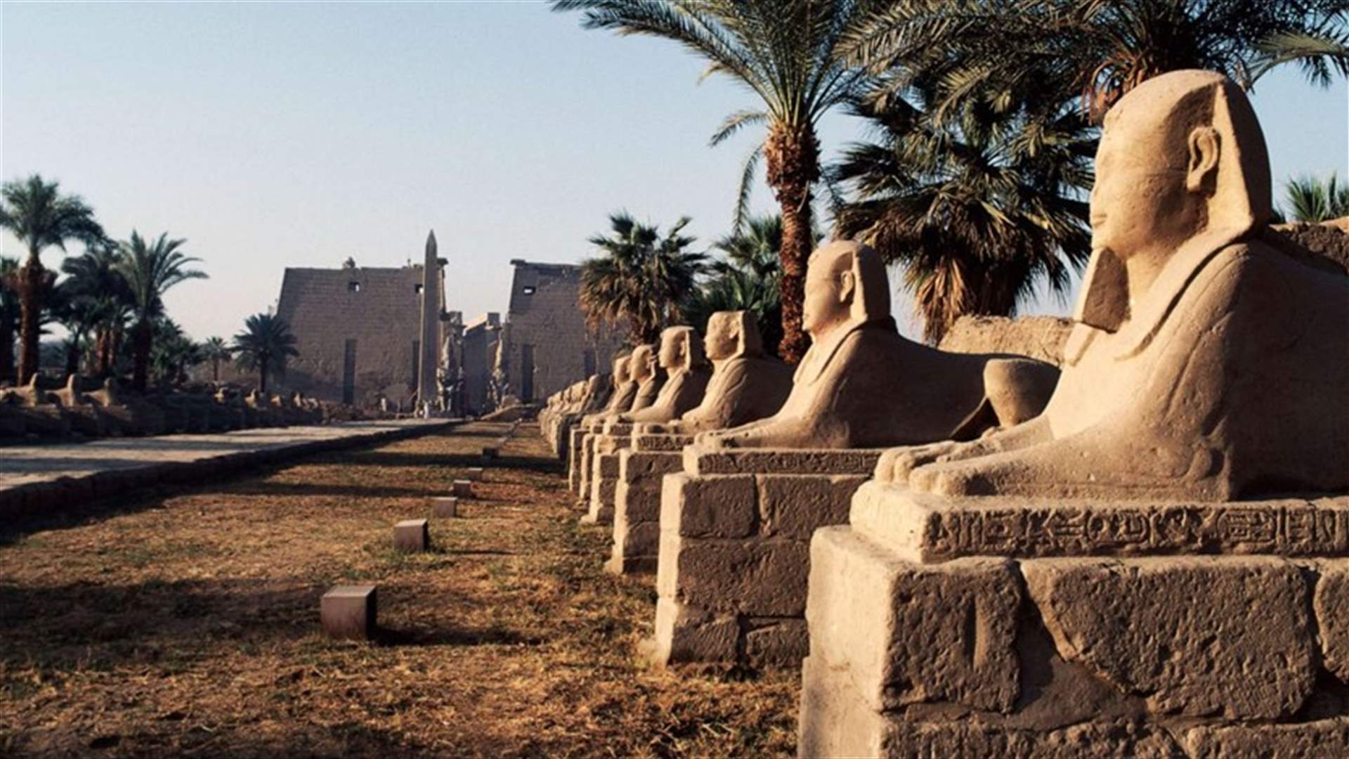 مصر تستعد لافتتاح شارع &quot;أبو الهول&quot; ... يعود تاريخه إلى 3 آلاف عام