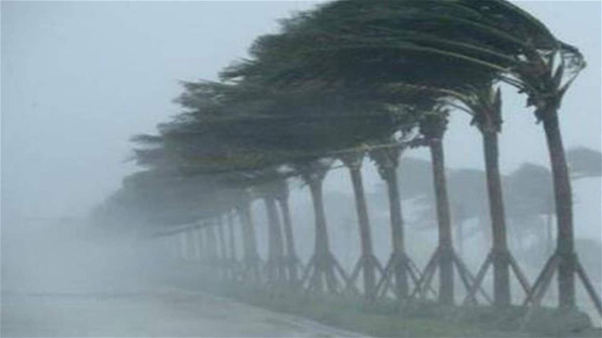 العاصفة أروين تقطع الكهرباء عن عشرات الآلاف في بريطانيا