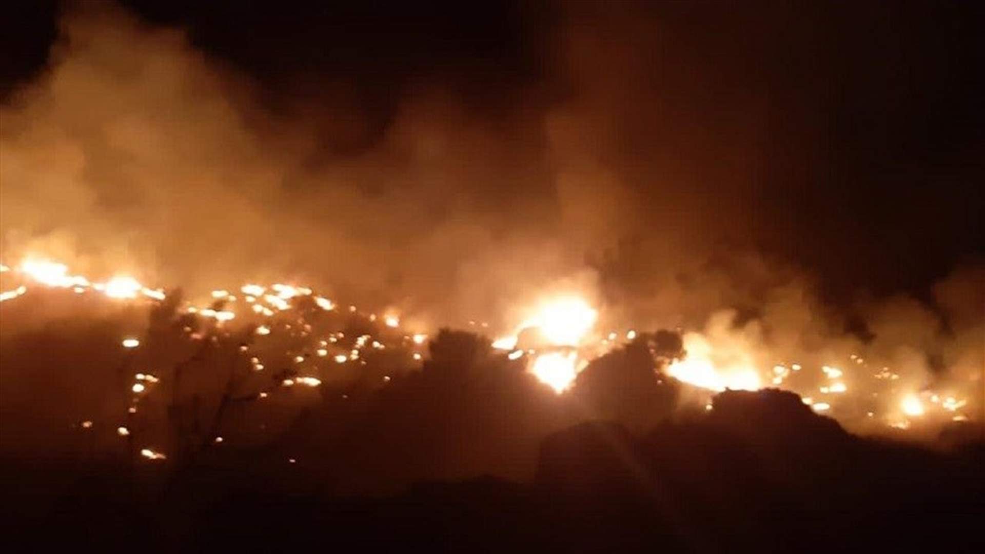حريق في إحدى غابات بشامون