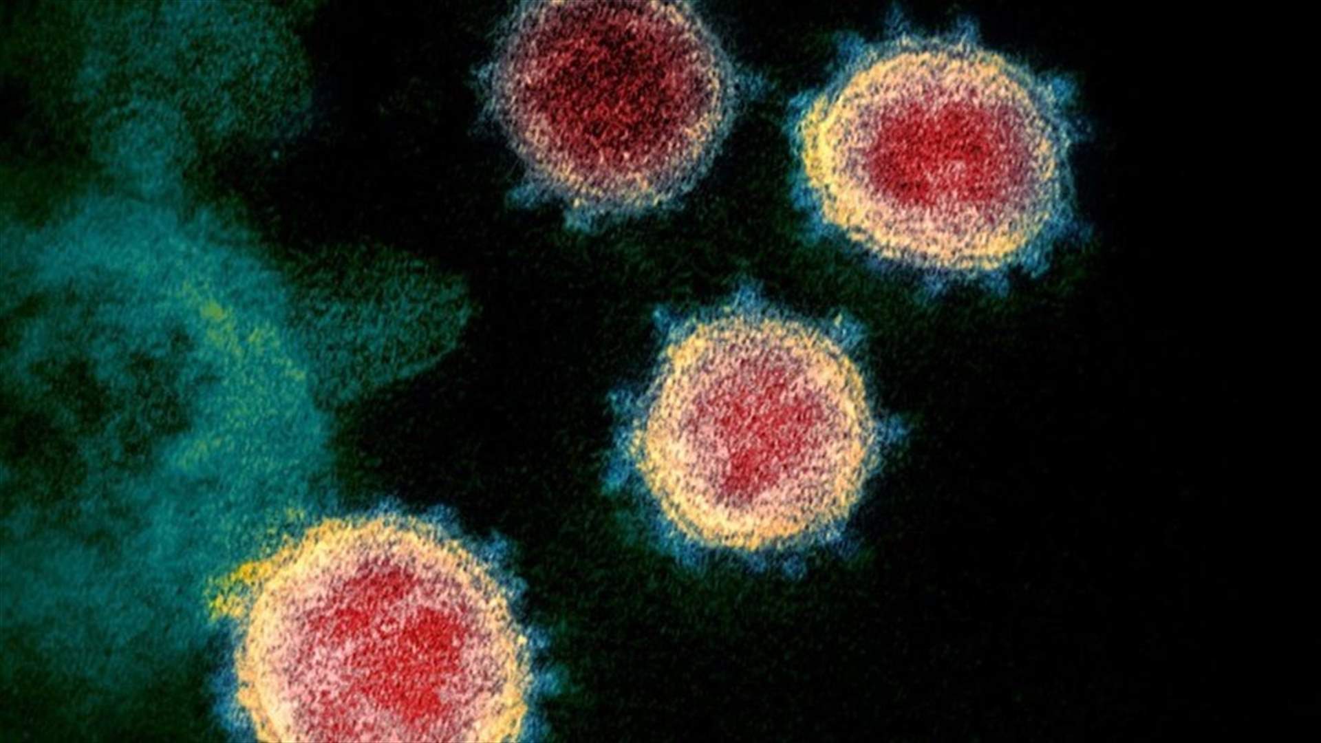 Japan finds second case of Omicron variant - media