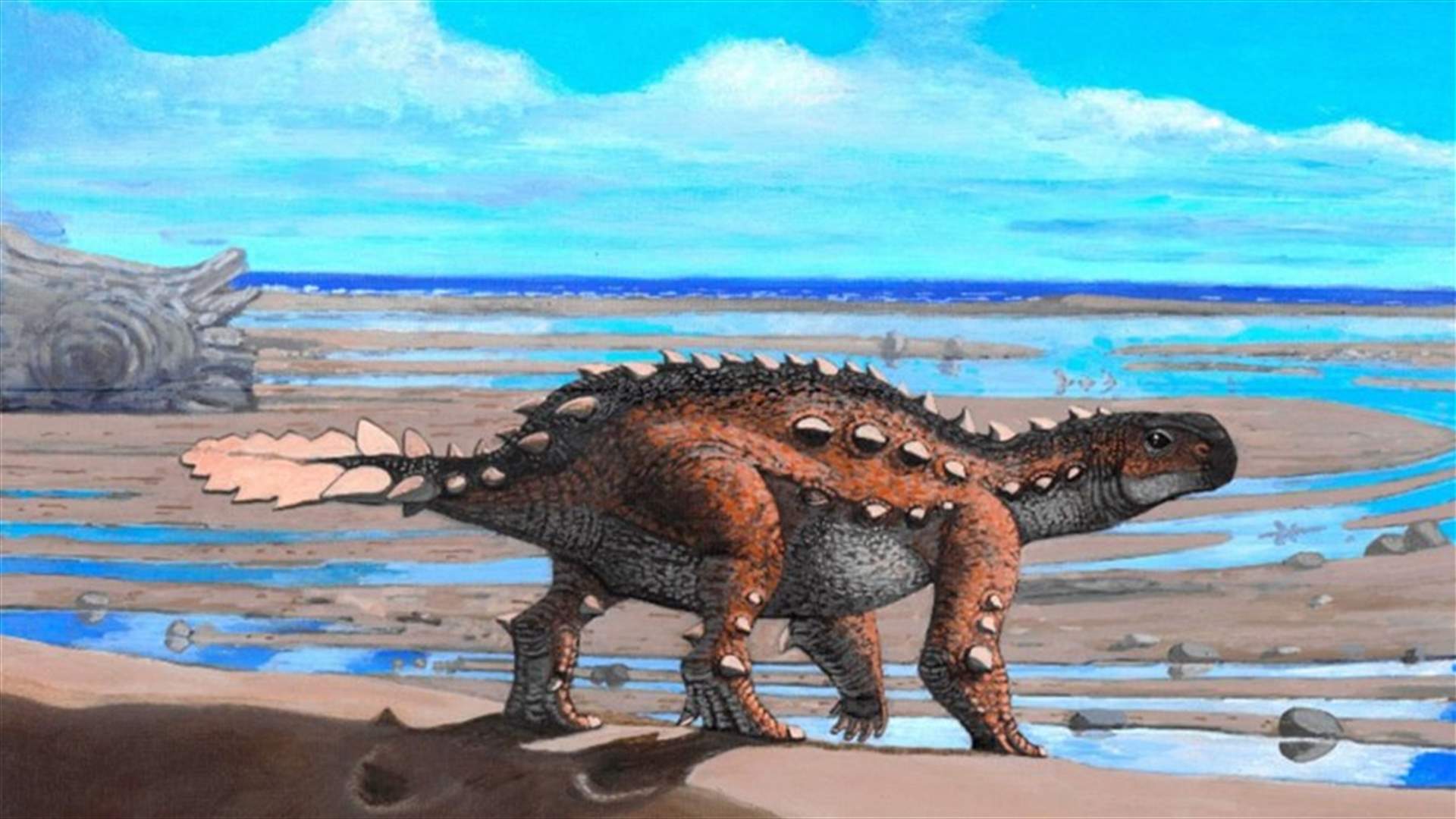في تشيلي... العثور على بقايا ديناصور &quot;مدرّع&quot; عاش قبل 74 مليون عام