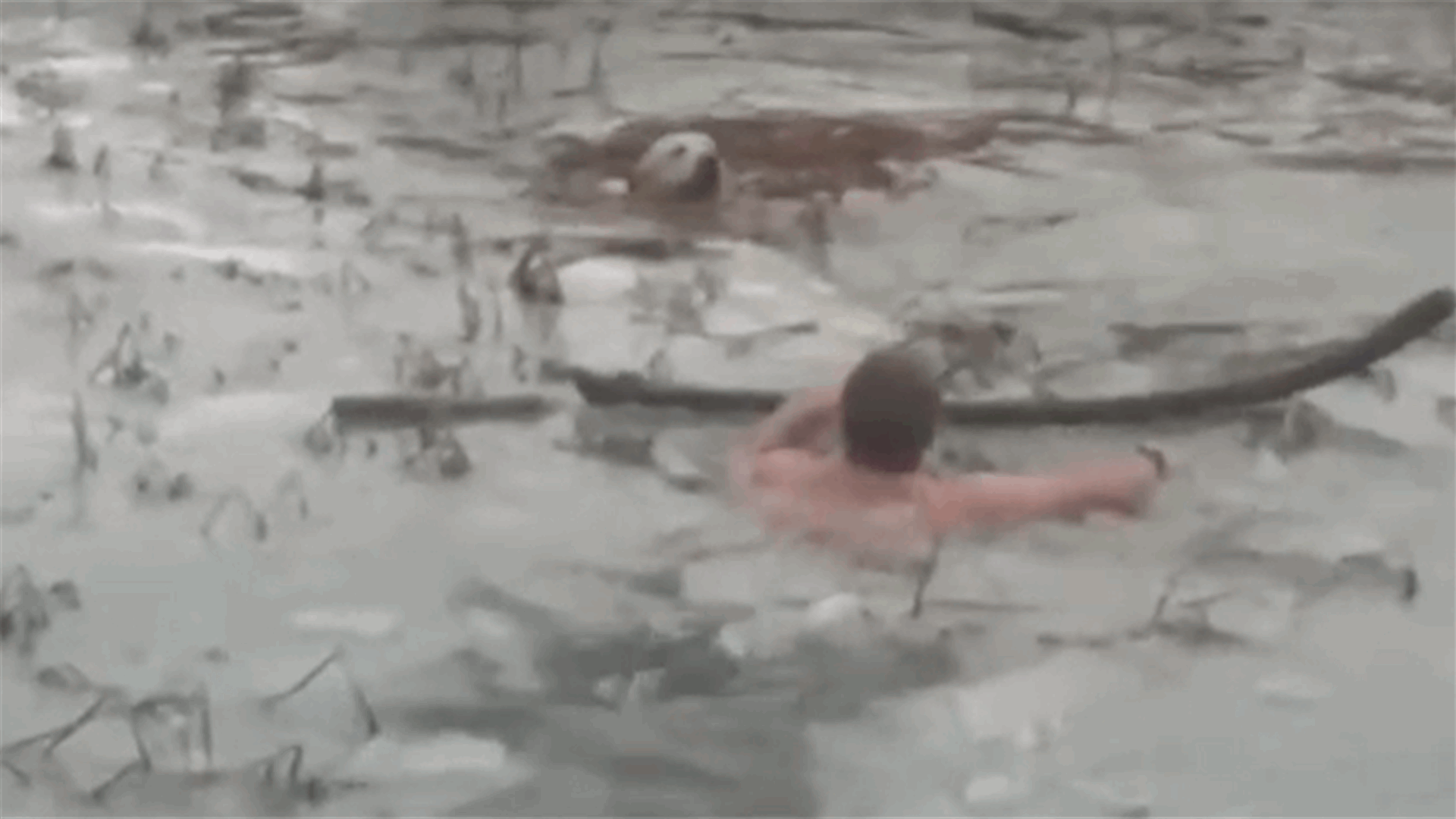 Spanish police officers brave frozen reservoir to rescue dog