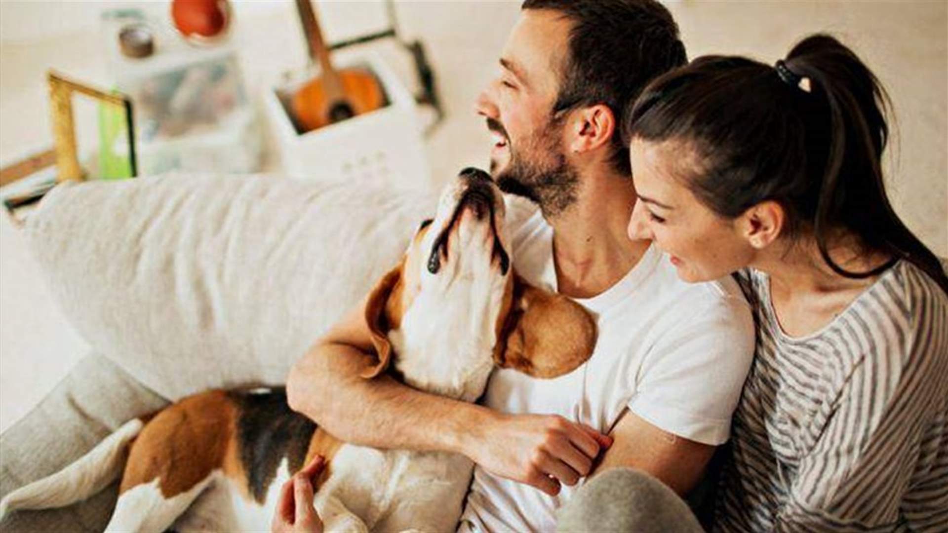 في حالة الطلاق ... قانون جديد في إسبانيا يحسم معارك "حضانة" الحيوانات الأليفة