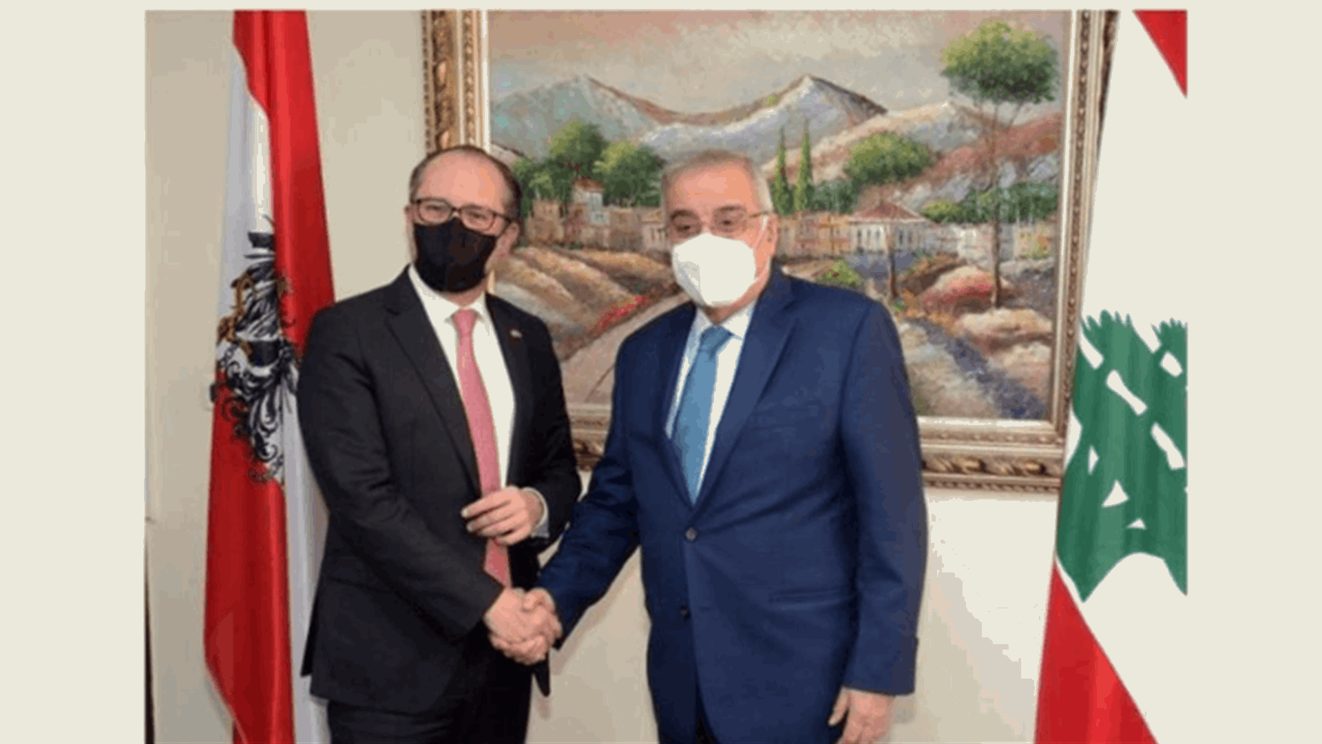 بو حبيب التقى نظيره النمساوي شالنبرغ: سنساعد لبنان لكن المسؤولية ملقاة على عاتقكم