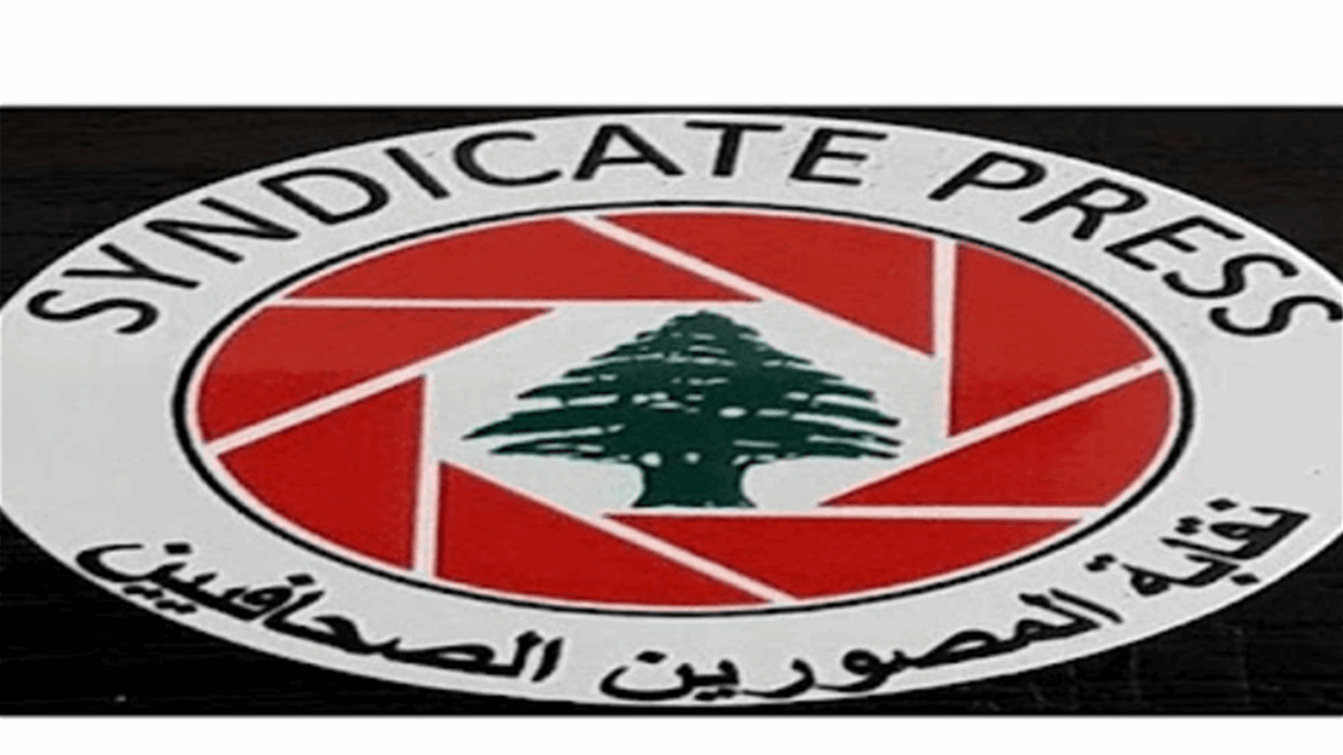 انتخاب مجلس جديد لنقابة المصورين الصحافيين