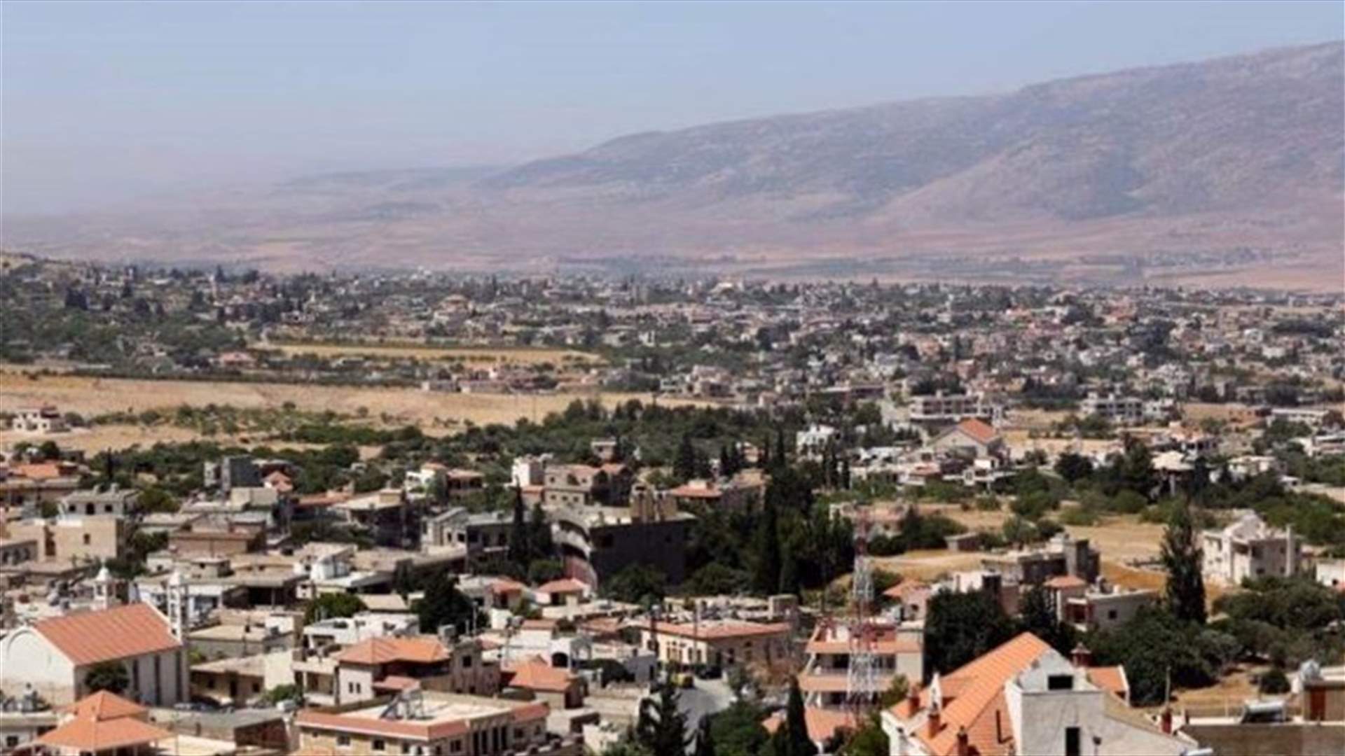 حاولوا سرقة أغنامه في بعلبك... وهكذا ردعهم!