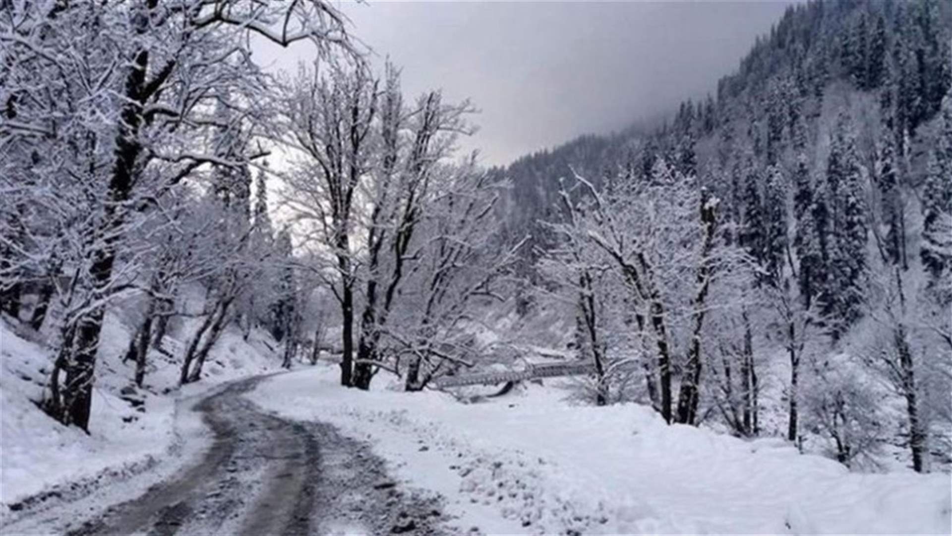 Snow blocks several mountainous roads across Lebanon – TMC