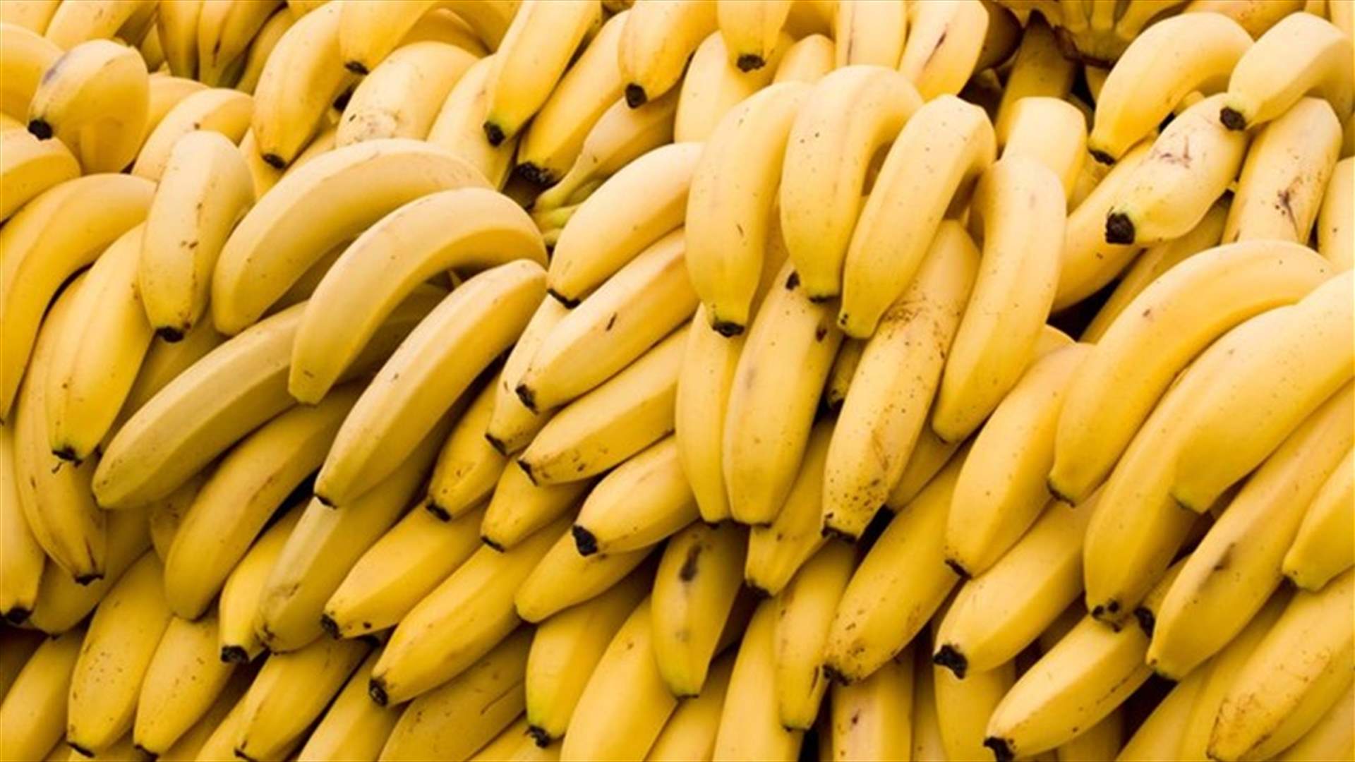 ما هي فوائد تناول الموز يومياً؟