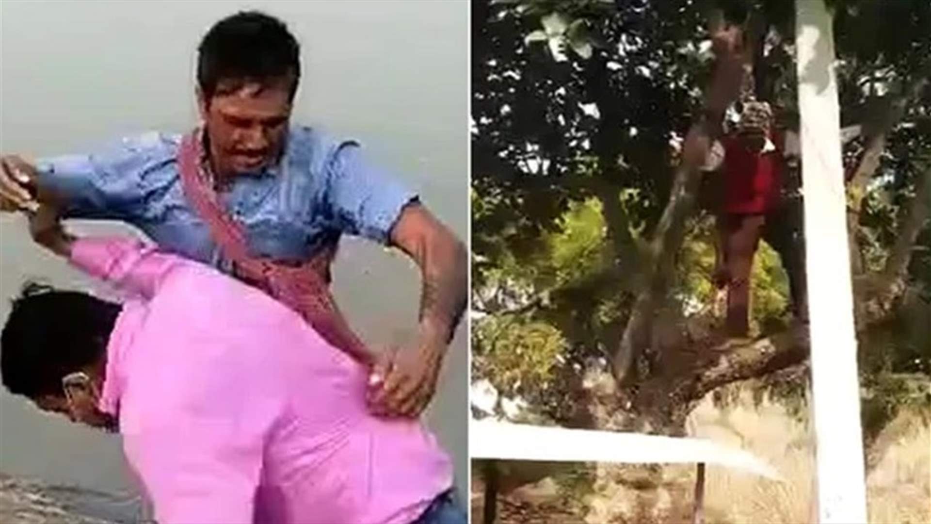 هرباً من اللقاح... موقف طريف لهندي يتسلّق شجرة ولآخر يصارع مسؤولاً صحّياً (فيديو)