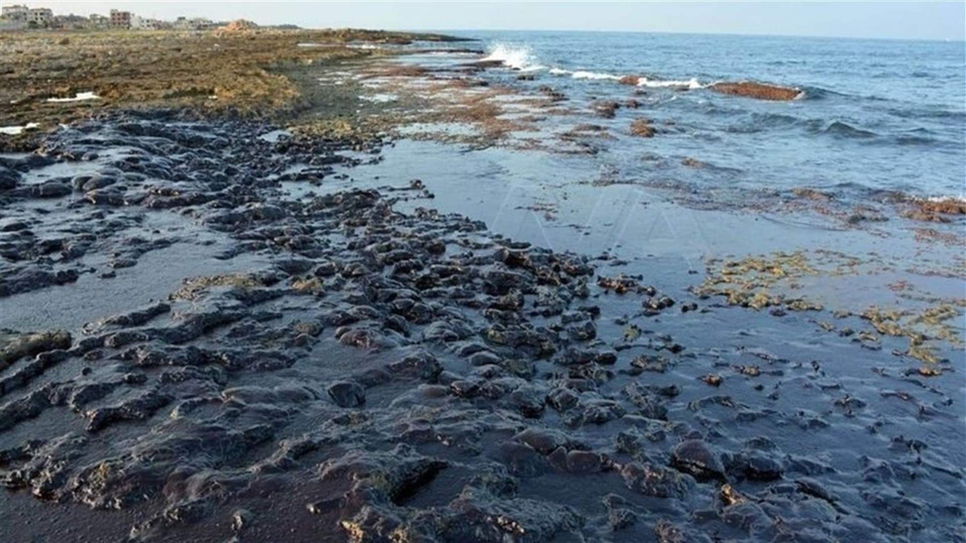 Thai beach declared disaster area after oil spill