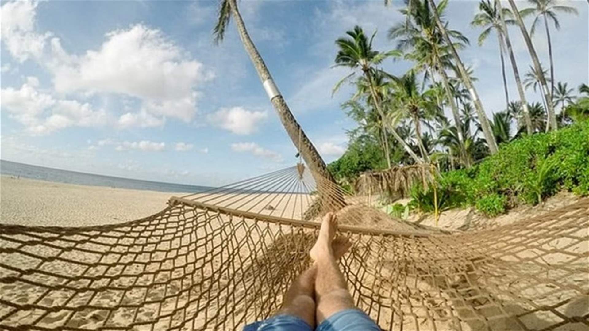 مقابل المجهود المبذول في العمل... شركة بريطانية تكافئ موظفيها بإجازة إلى جزر الكناري