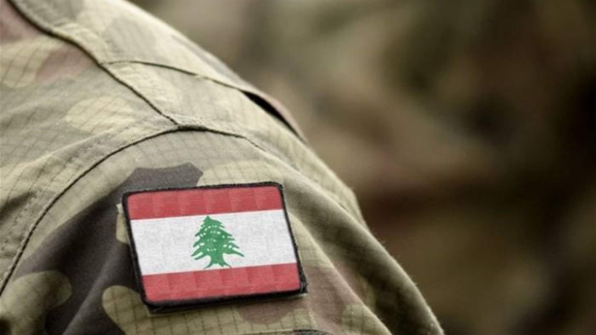 بعد حديث نصرالله عن الجيش اللبناني... ماذا قال مصدر رسمي لـ"الشرق الأوسط"؟