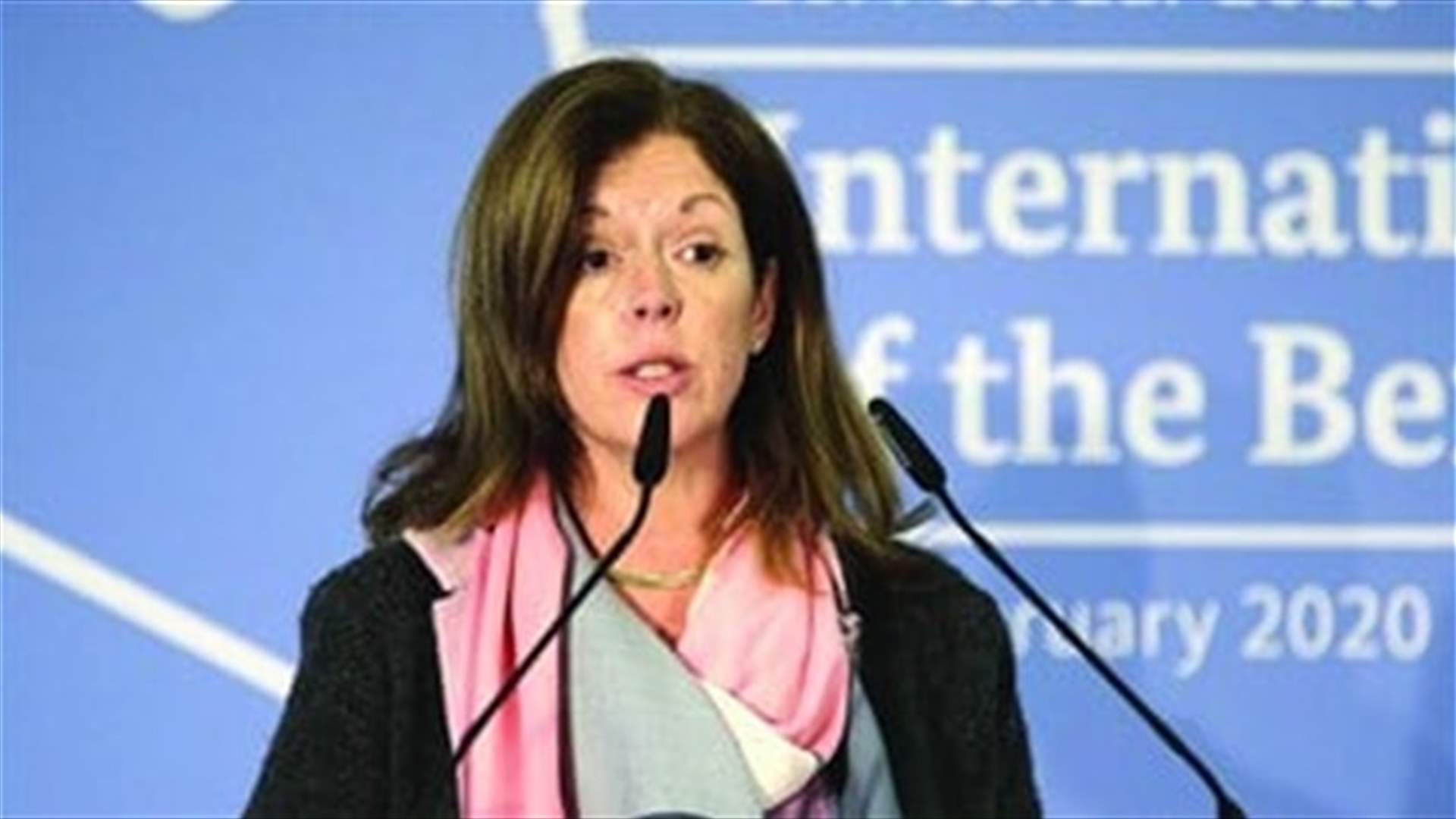 UN adviser calls for Libyan elections in 'shortest possible time'