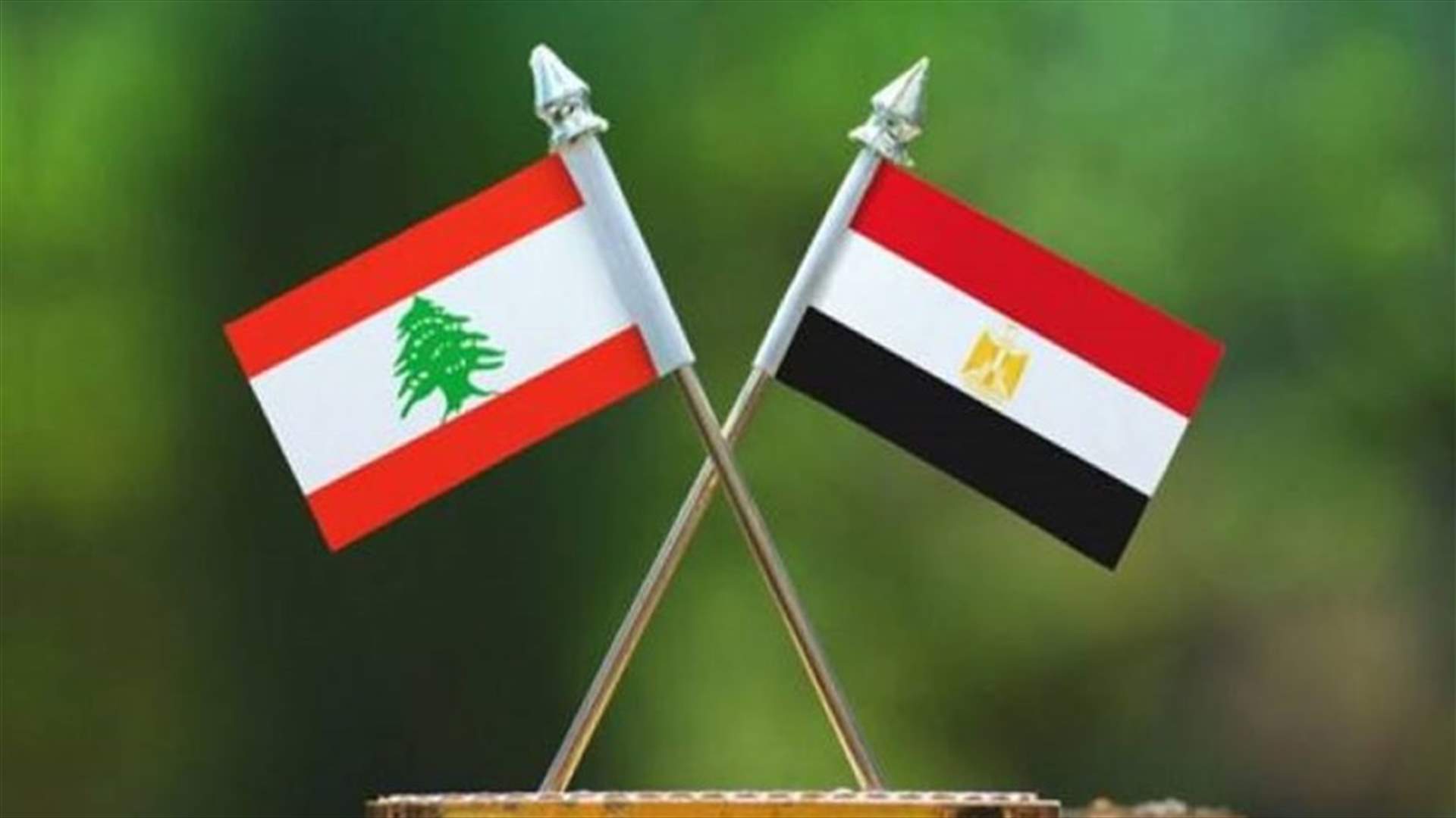 487 طنا من المساعدات الطبية والغذائية.. وصول أحدث دفعة من جسر المساعدات المصرية للبنان