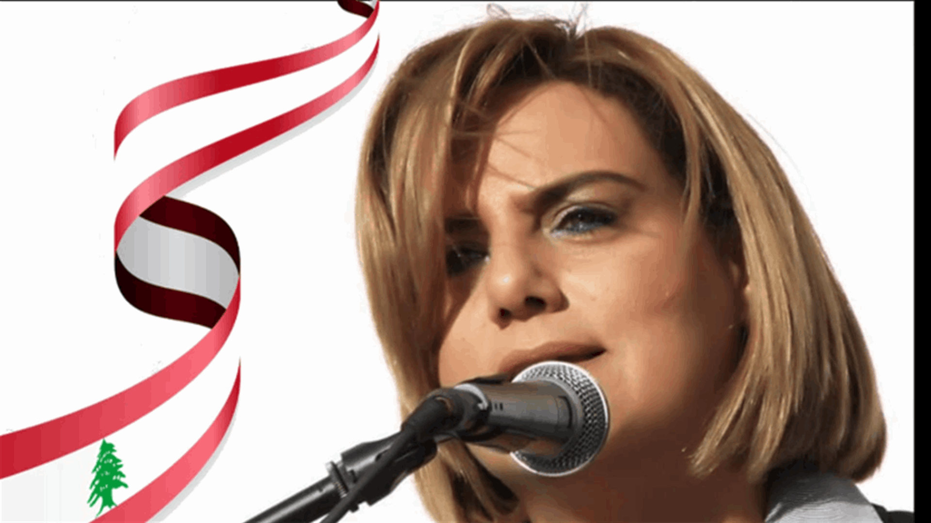 المستشارة التربوية لميقاتي : لوقف الهدر في القطاع التربوي