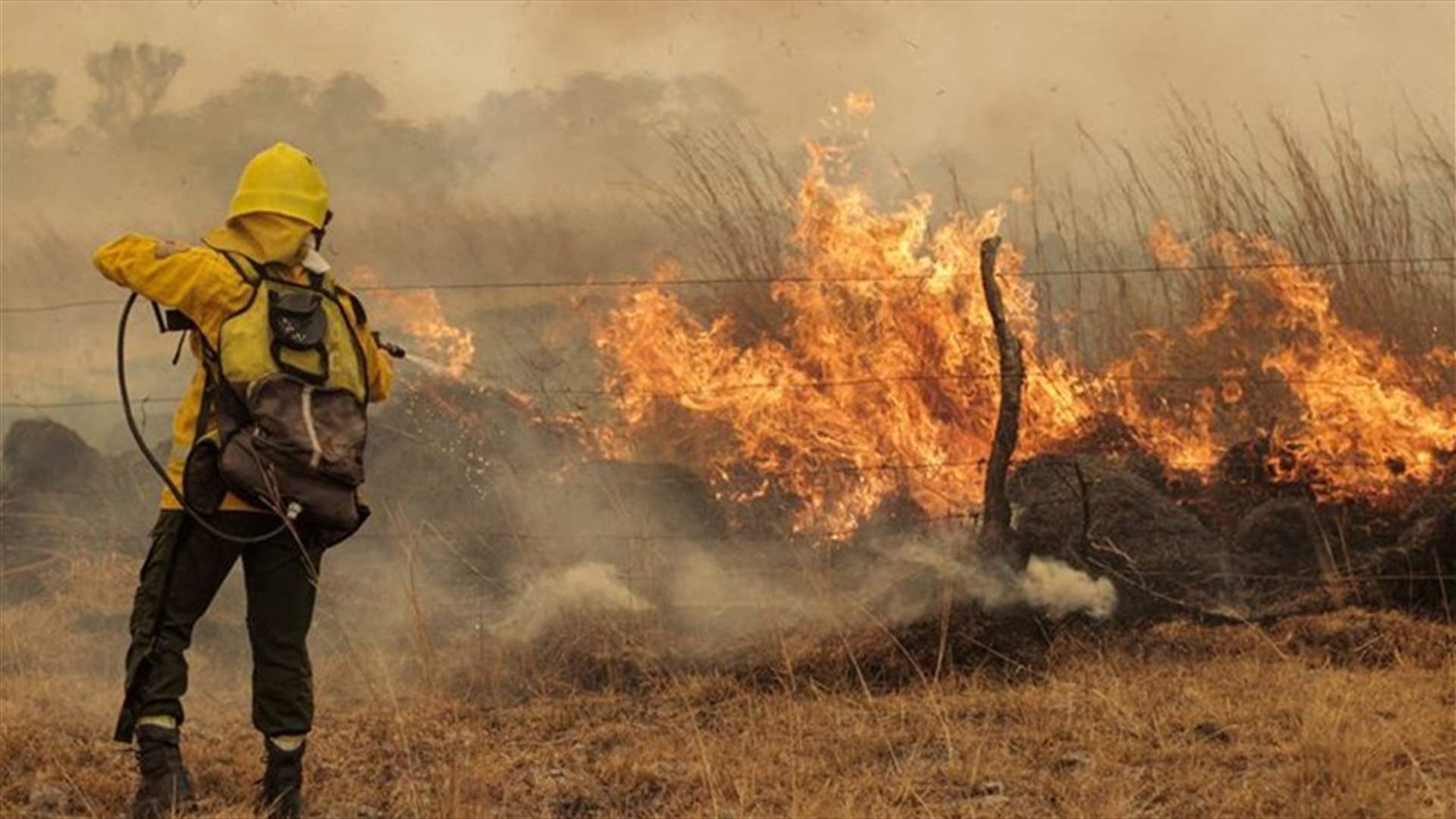 تقرير للأمم المتحدة يحذر من زيادة حرائق الغابات في العالم
