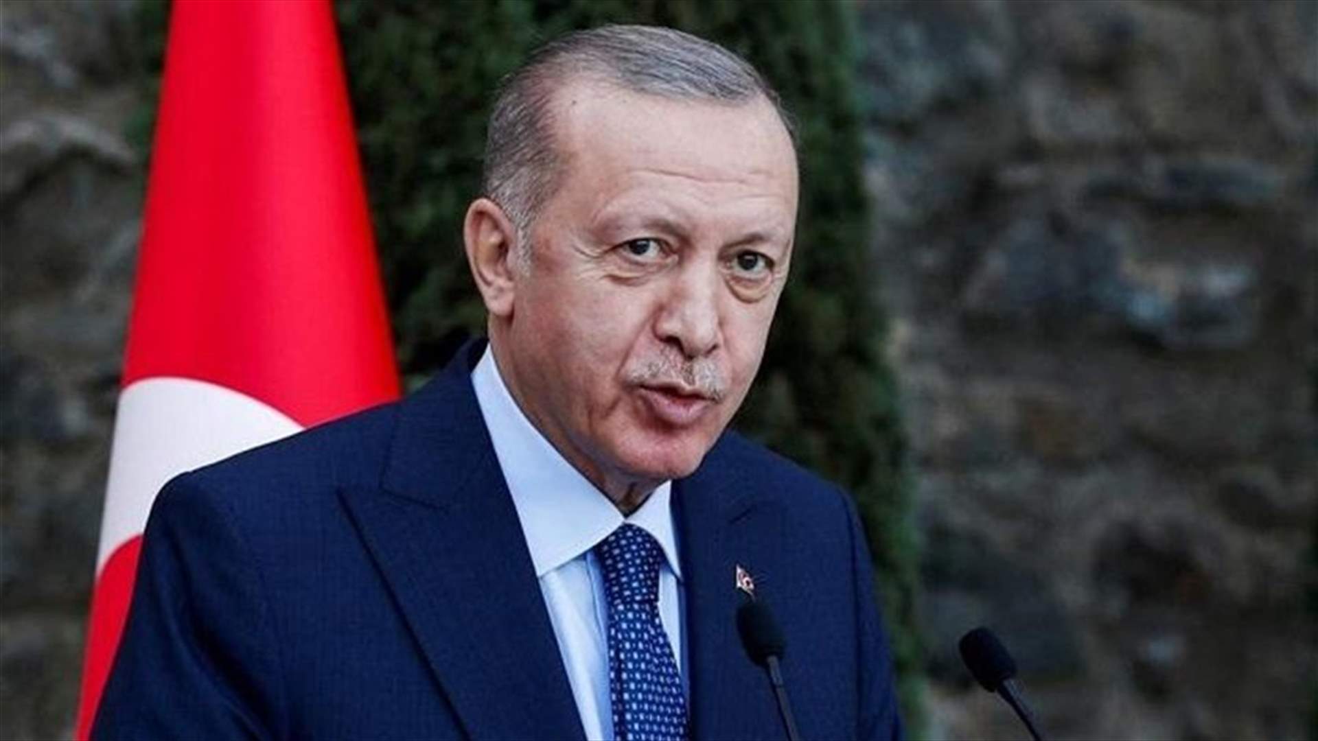 Turkey's Erdogan says NATO reaction to Russian attack not decisive