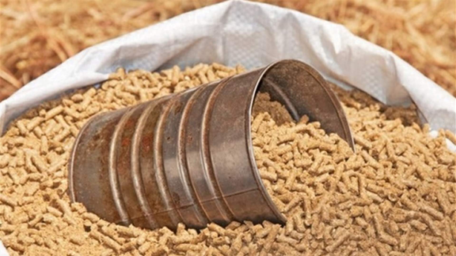 أسعار الأعلاف ارتفعت عالمياً بعد اندلاع الحرب الروسية - الأوكرانية... اللحوم ومشتقات الحليب إلى ارتفاع؟ (الأخبار)
