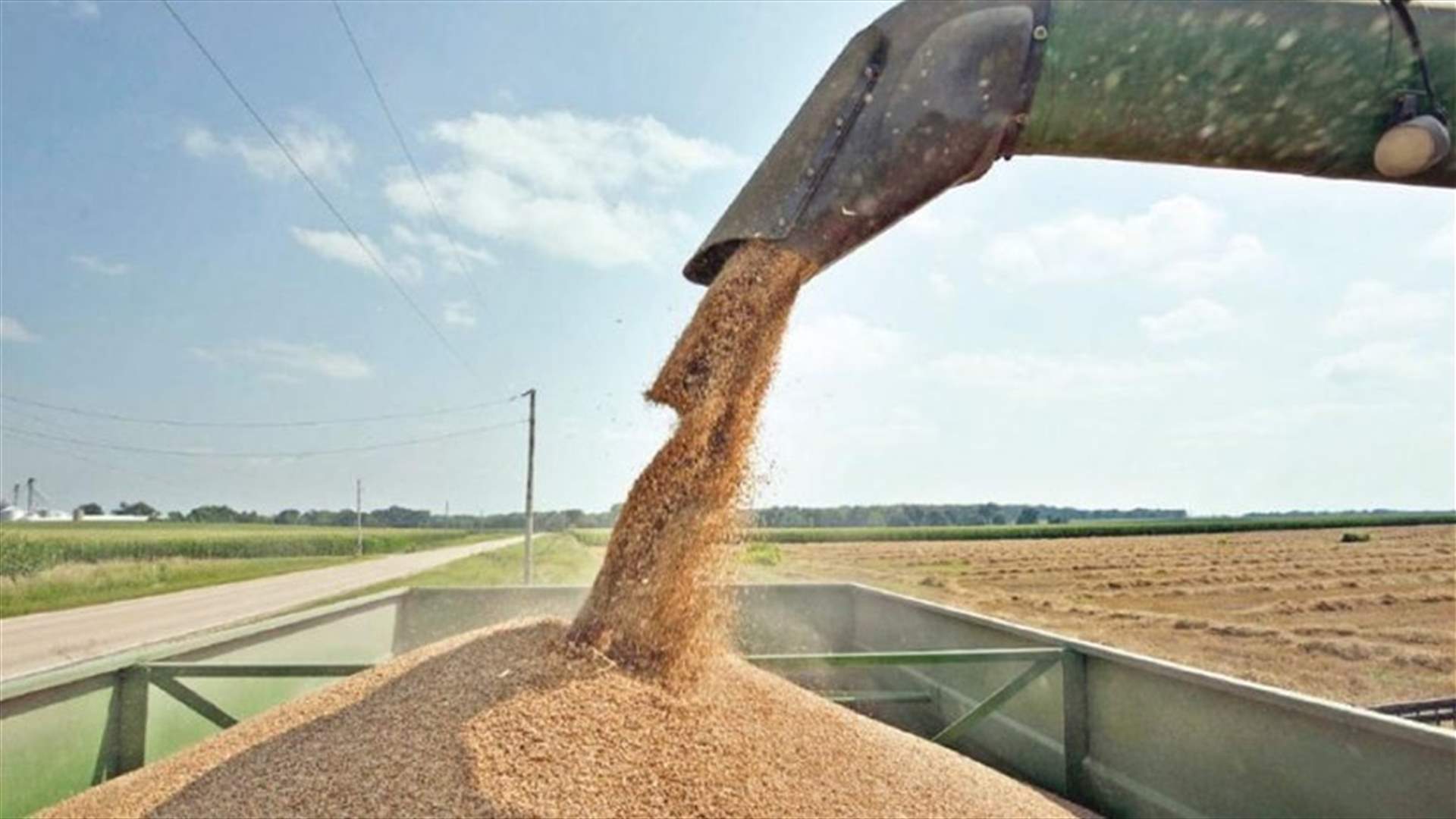 Ukraine bans exports of several grains, sugar, salt, meat