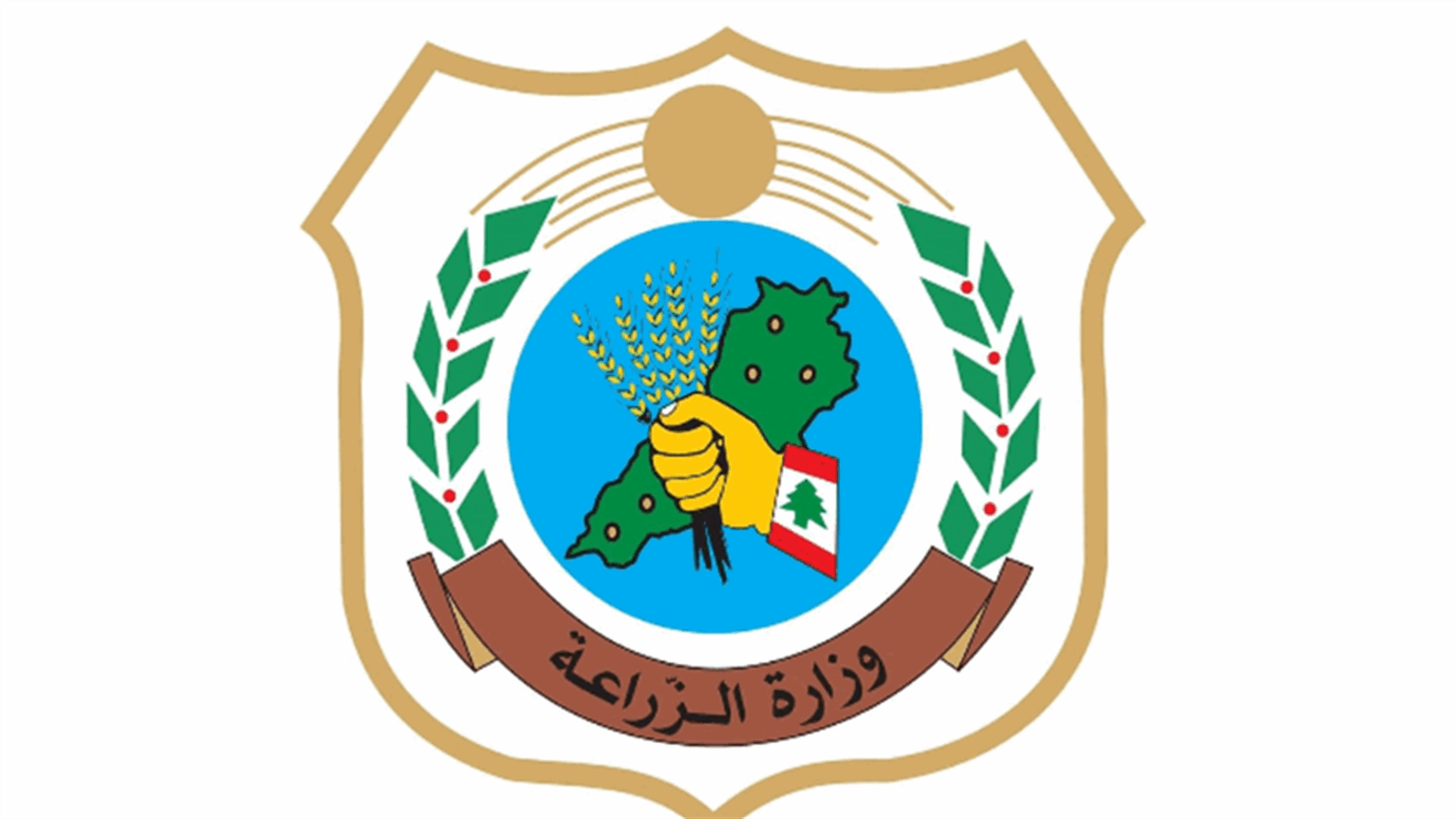 الزراعة تنفي الأخبار المتداولة عن منع تصدير الحمضيات