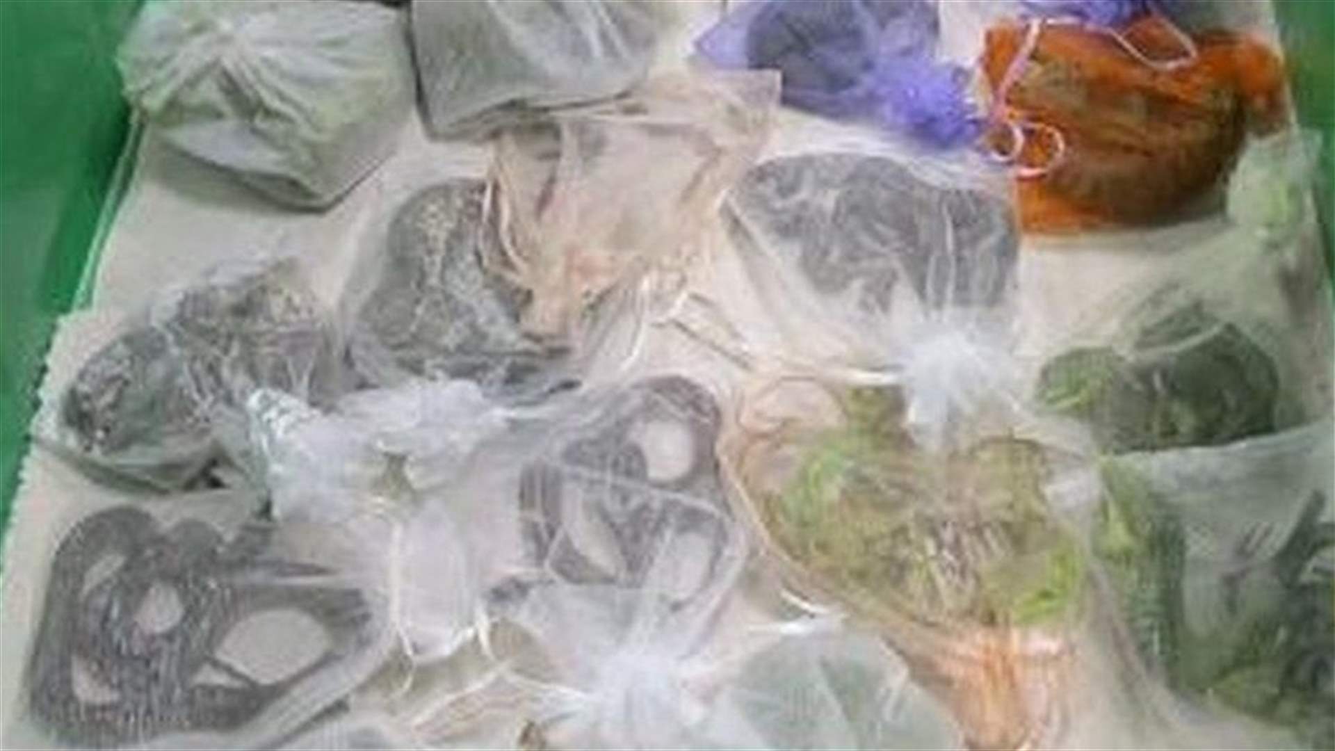 عملية تهريب غريبة من نوعها... خبّأ عشرات الزواحف في ملابسه!