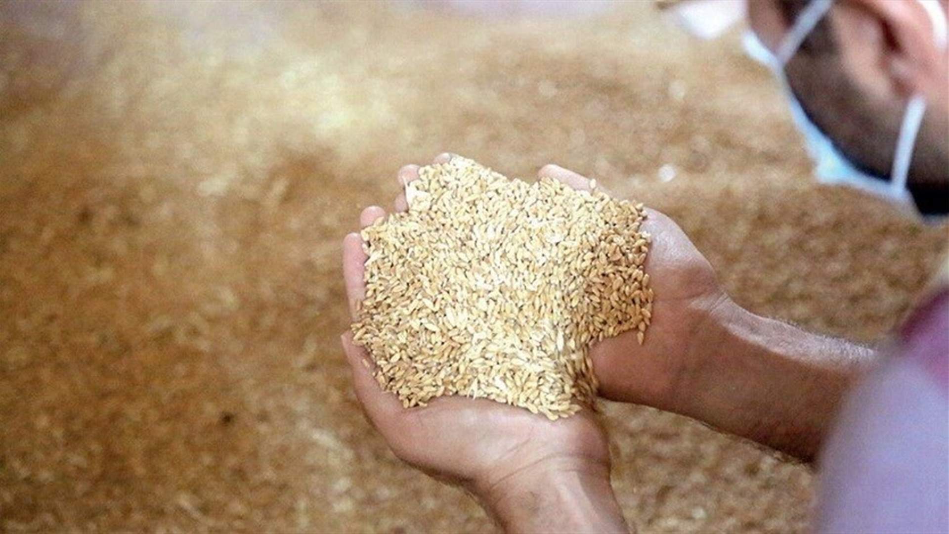 Syria says no worries about wheat reserves - State news agency