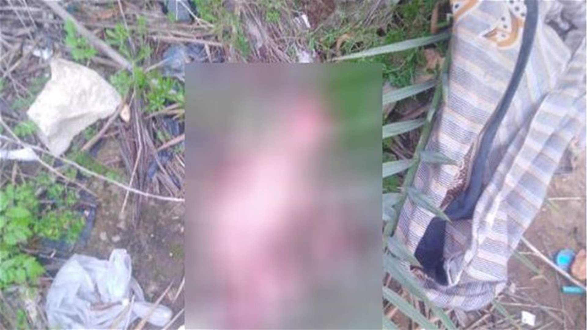 "جريمة مروعّة"... رضيع مرمي من مسافة مرتفعة وحيوان ينهشه!