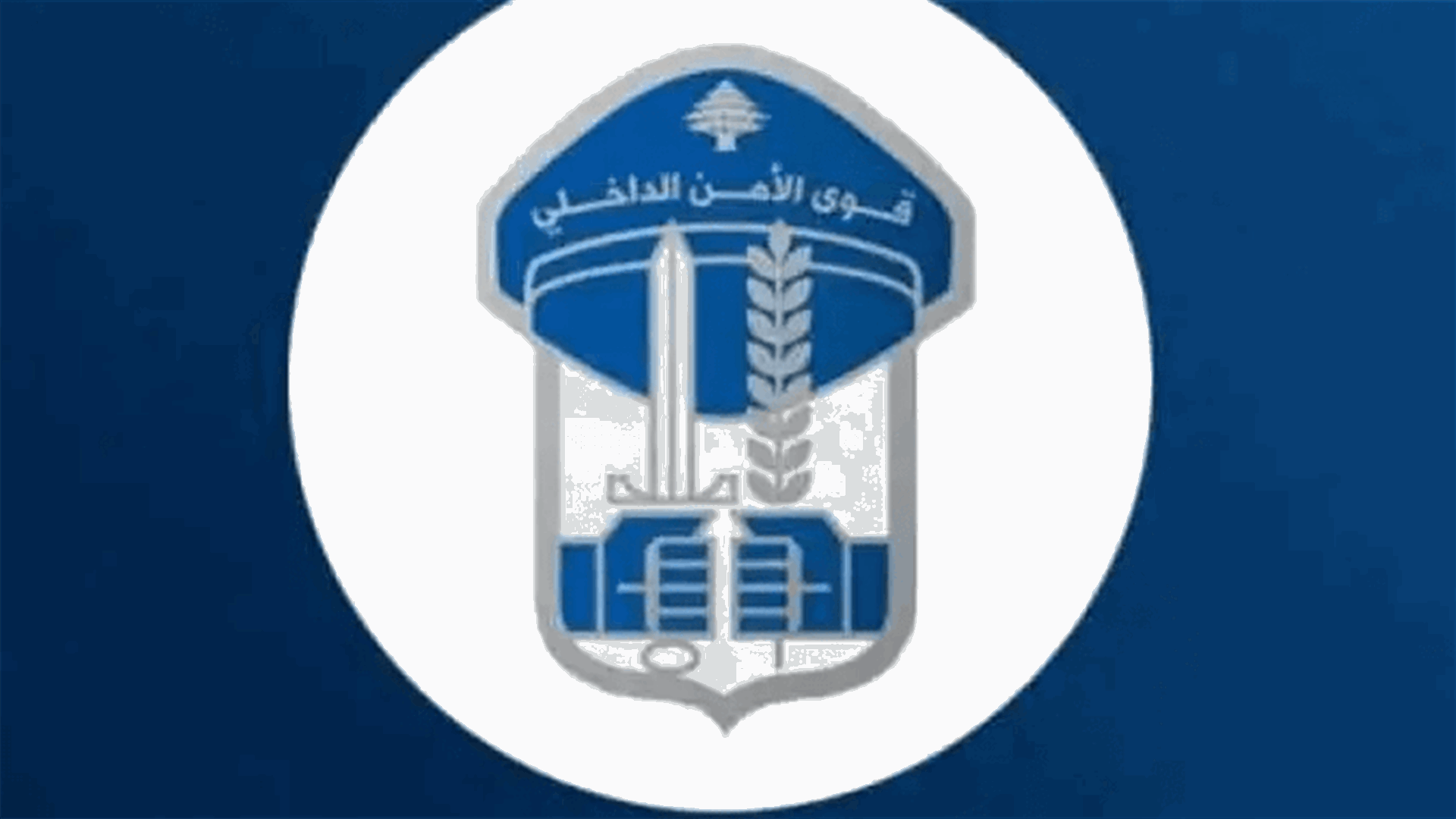توقيف عصابة سرقة في طرابلس (صور)