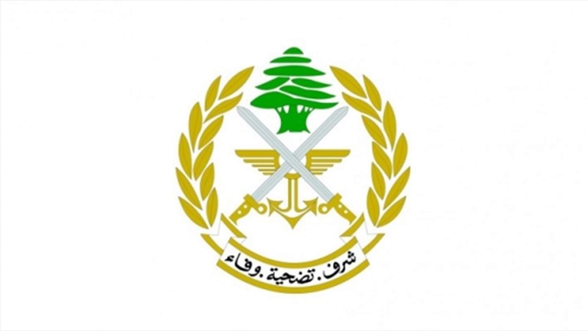 الجيش: توقيف شخص في منطقة حي الأميركان الحدت