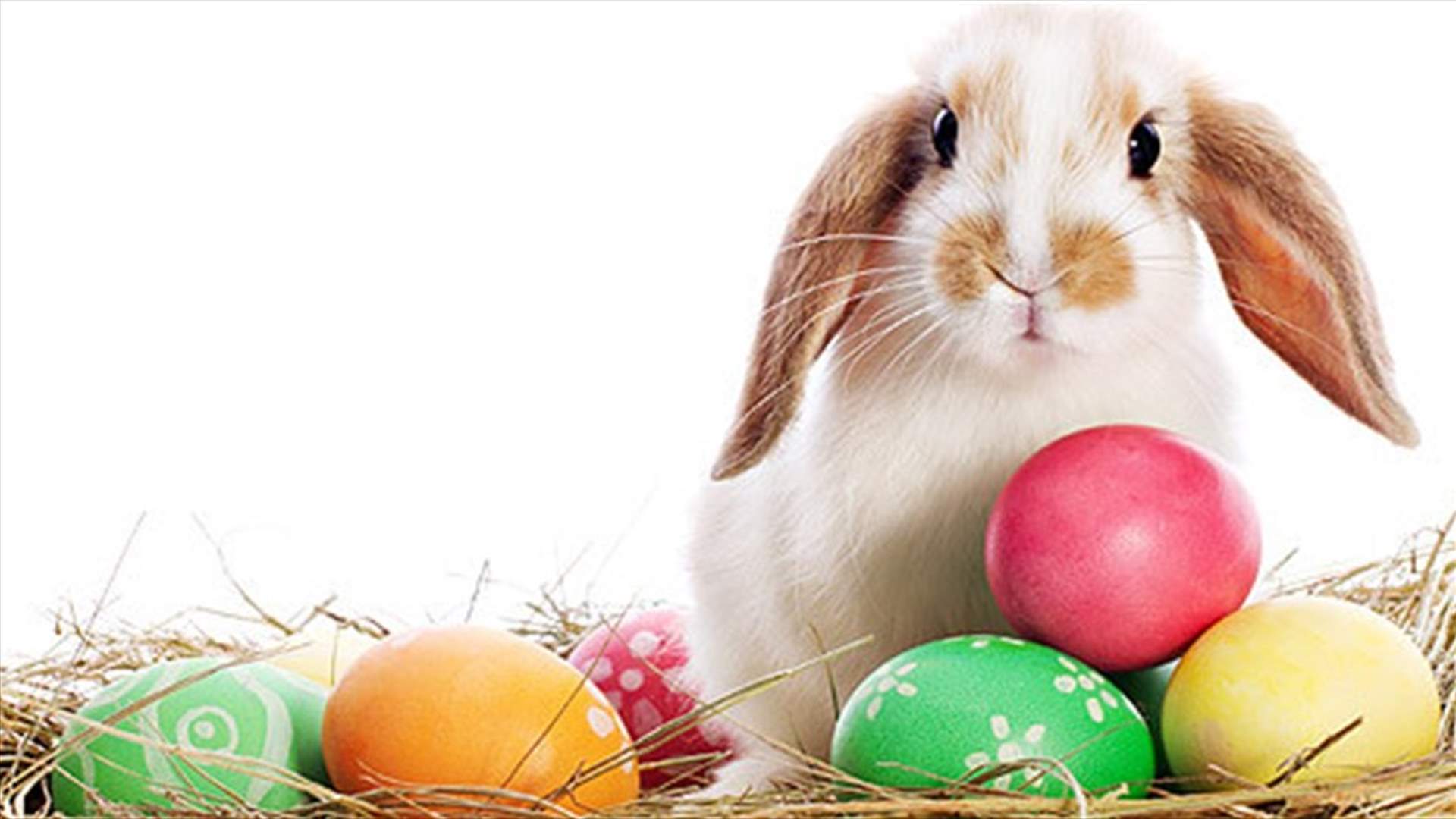 من البيضة والحيوانات الى كلمة فصح... ماذا تعني رموز هذا العيد؟