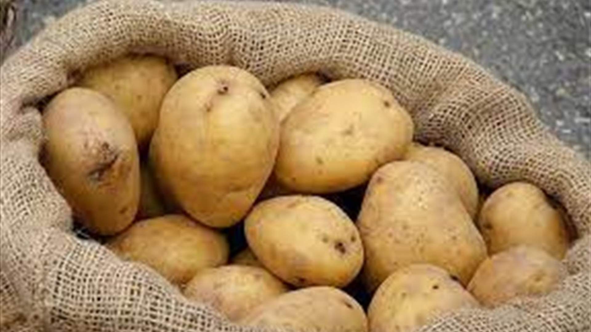 نقابة مستوردي ومصدري الخضر والفاكهة: السوق المحلية بحاجة إلى البطاطا المصرية
