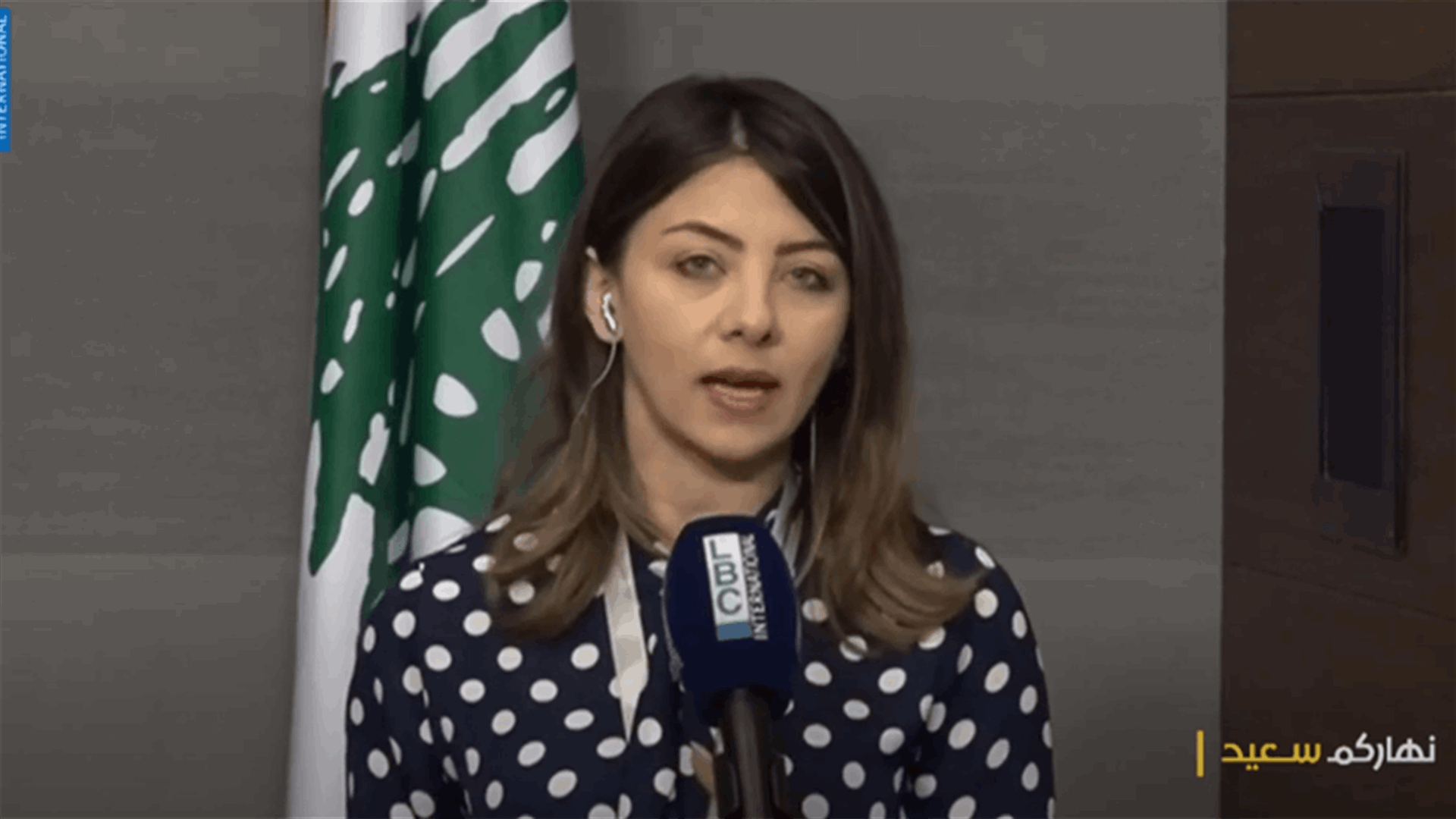 ملف الكهرباء على طاولة مجلس الوزراء... ماذا عن أزمة القمح؟ (فيديو)