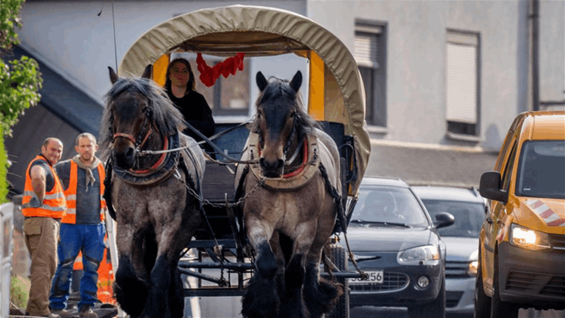 بسبب أزمة الطاقة... سيّدة ألمانية تستبدل سيارتها بعربة خيول!