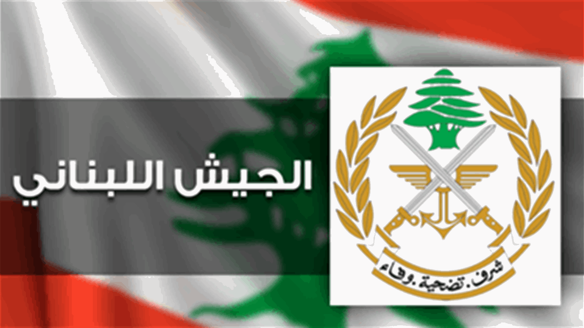 Lebanese national arrested for kidnapping a child
