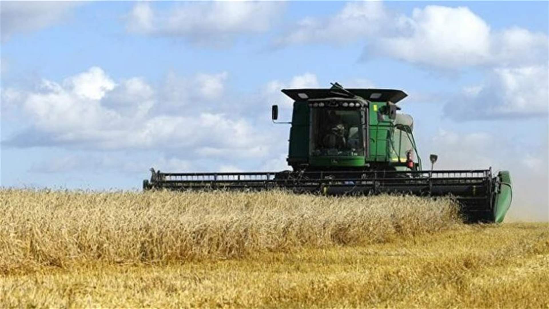 روسيا تهدف إلى تصدير خمسين مليون طن من الحبوب