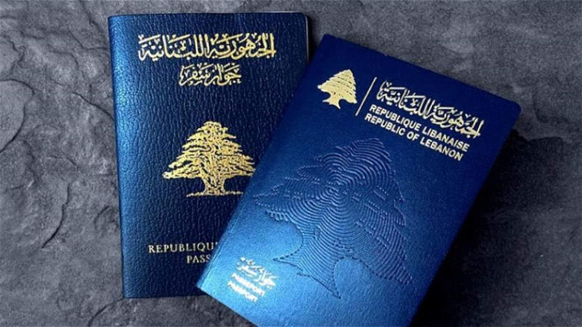 مرسوم تجنيس جديد قيد التحضير... من هم المستفيدون المحتملون؟ (الشرق الأوسط)