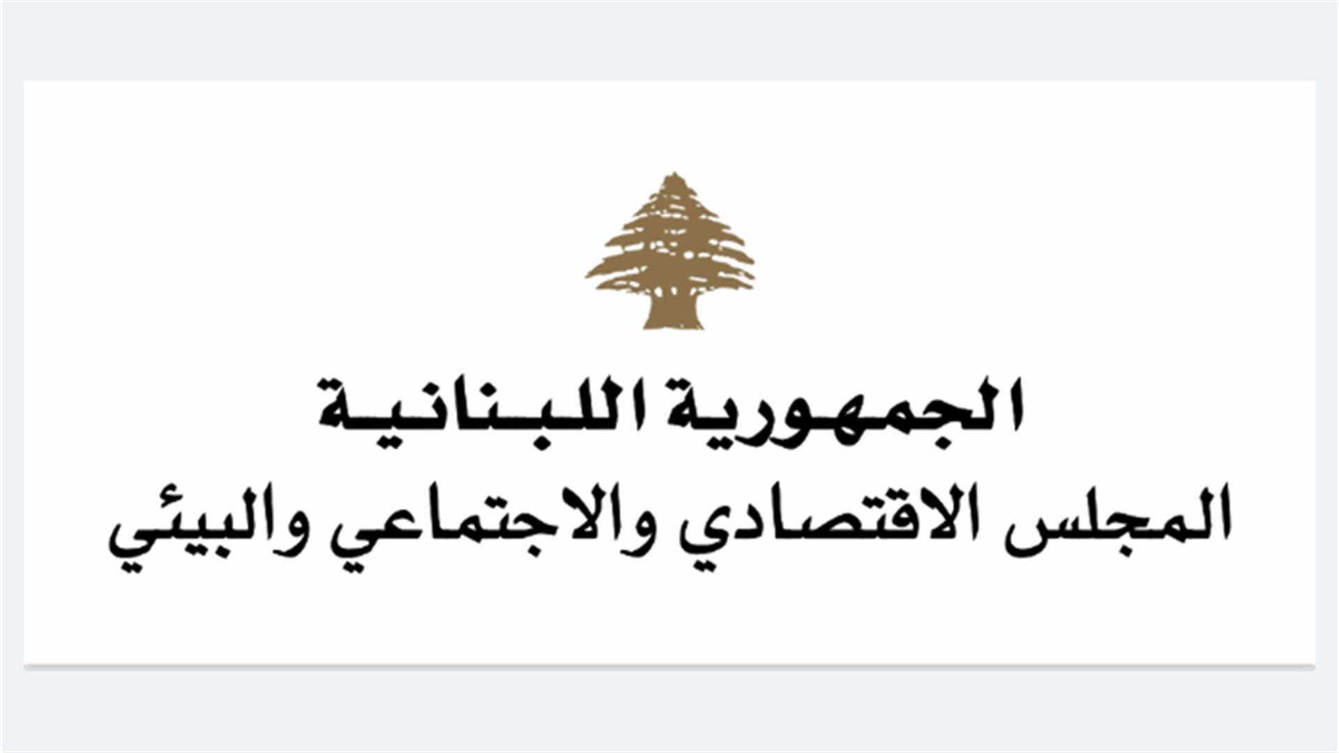 المجلس الاقتصادي يرد على جمعية تجار بيروت: اللبنانيون تعبوا من الخبصات الشعبوية