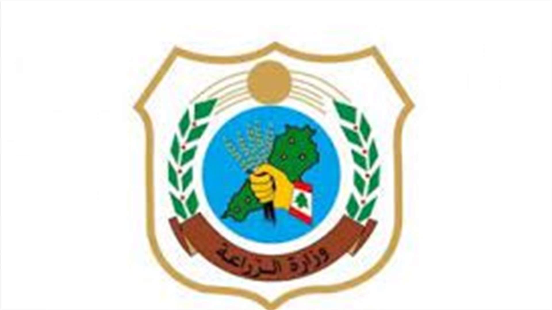 الزراعة: لا صحة للاخبار المتداولة عن بيع دجاج نافق في الاسواق