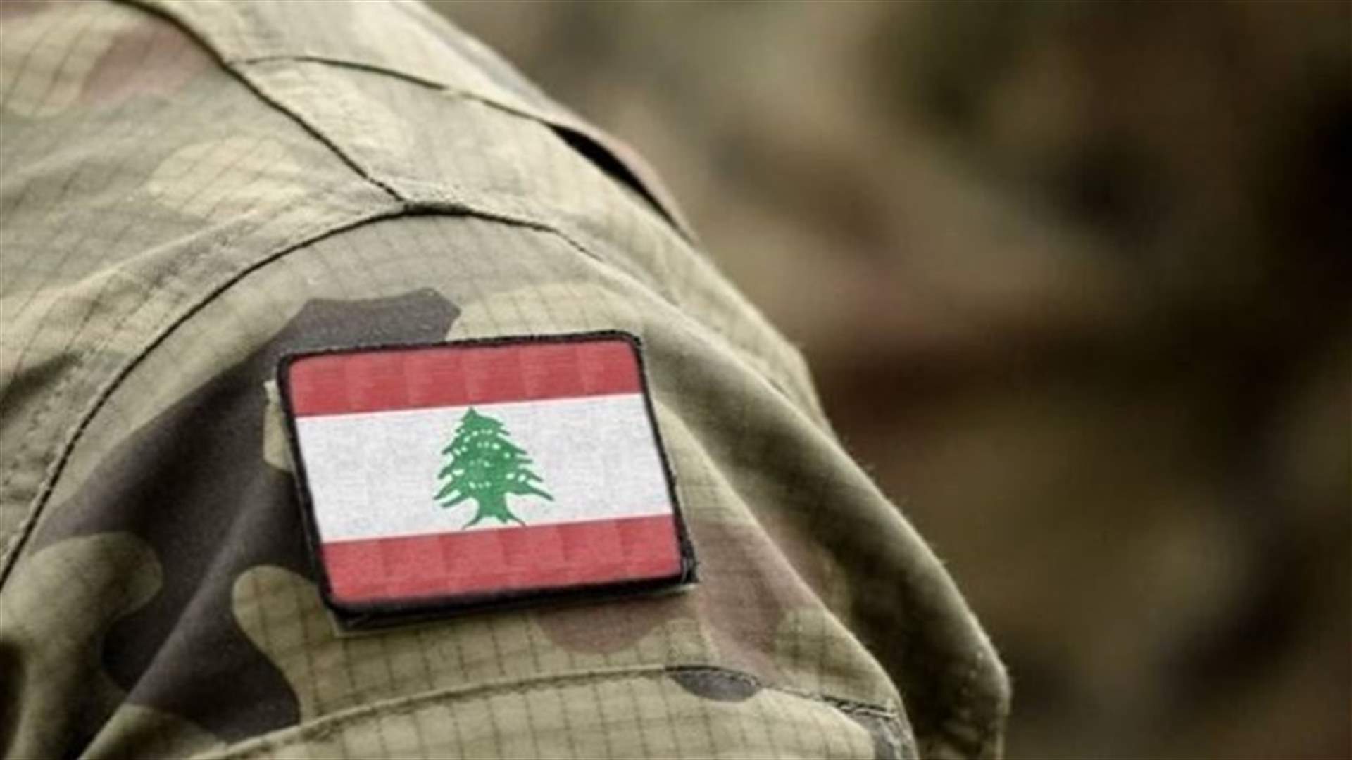 بيان للجيش بشأن عملية الدهم في منطقة الشراونة...