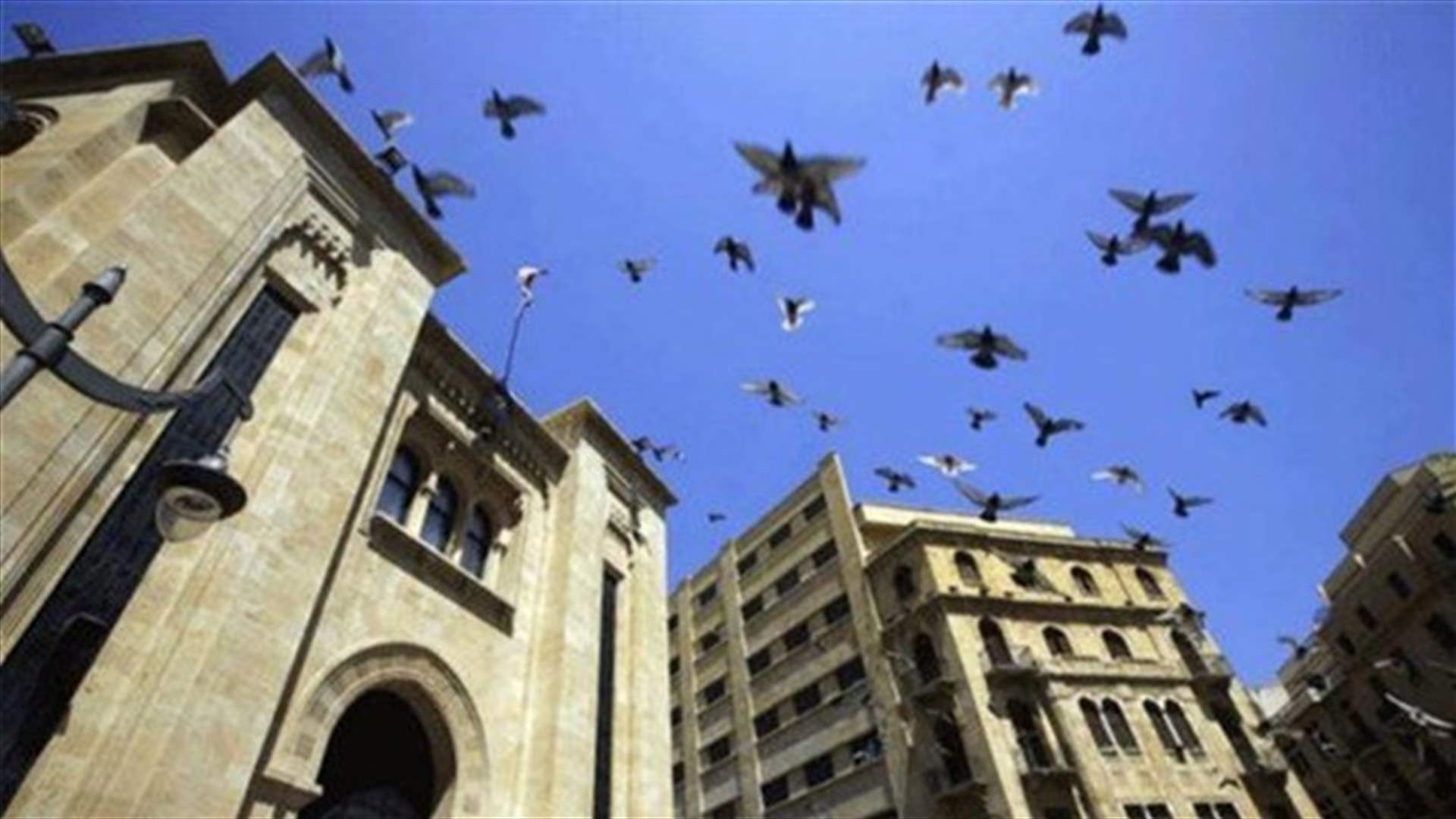 من هم أعضاء لجنة الشباب والرياضة؟