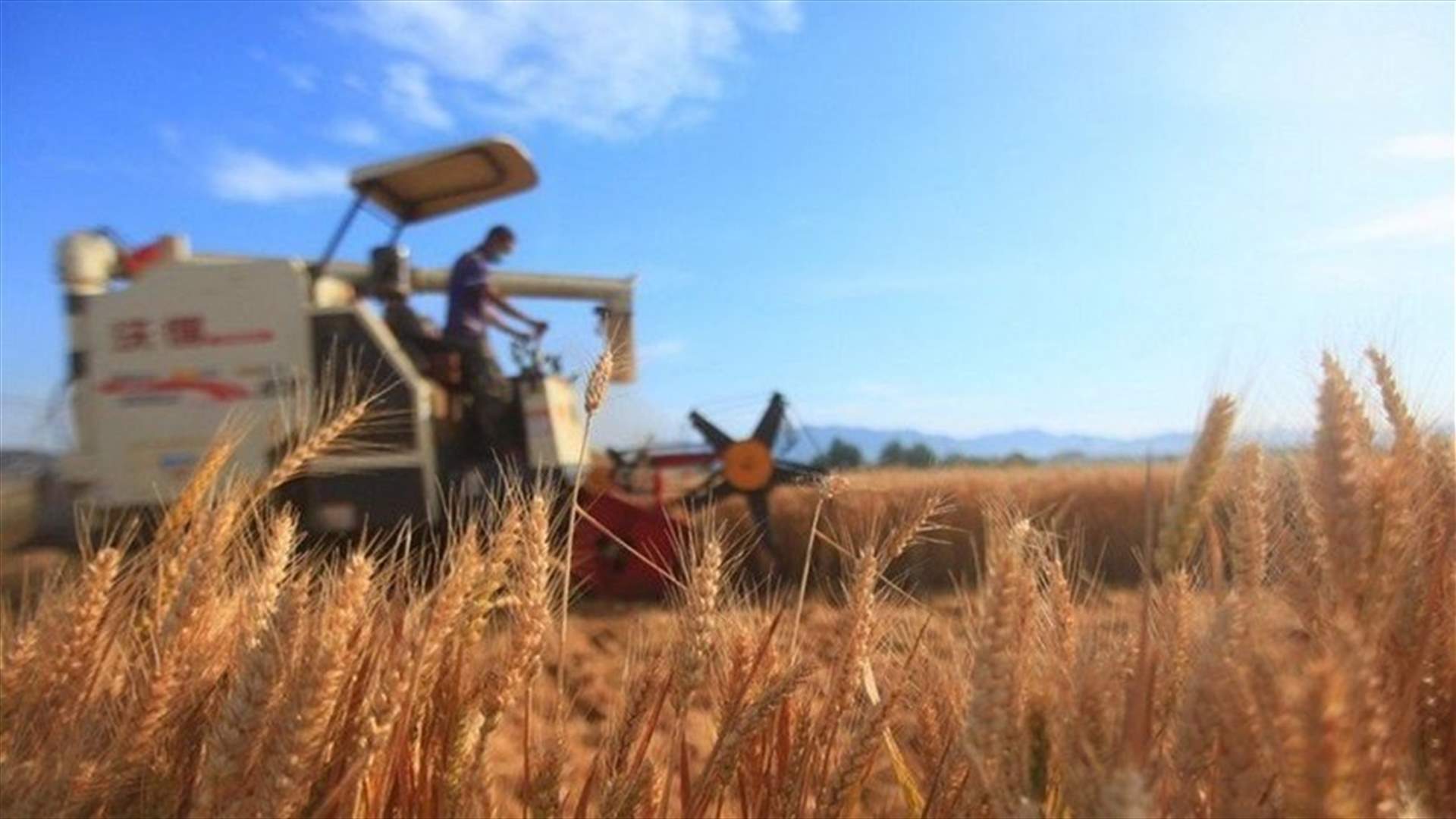 FAO warns of worldwide worsening of food crises because of Ukraine war