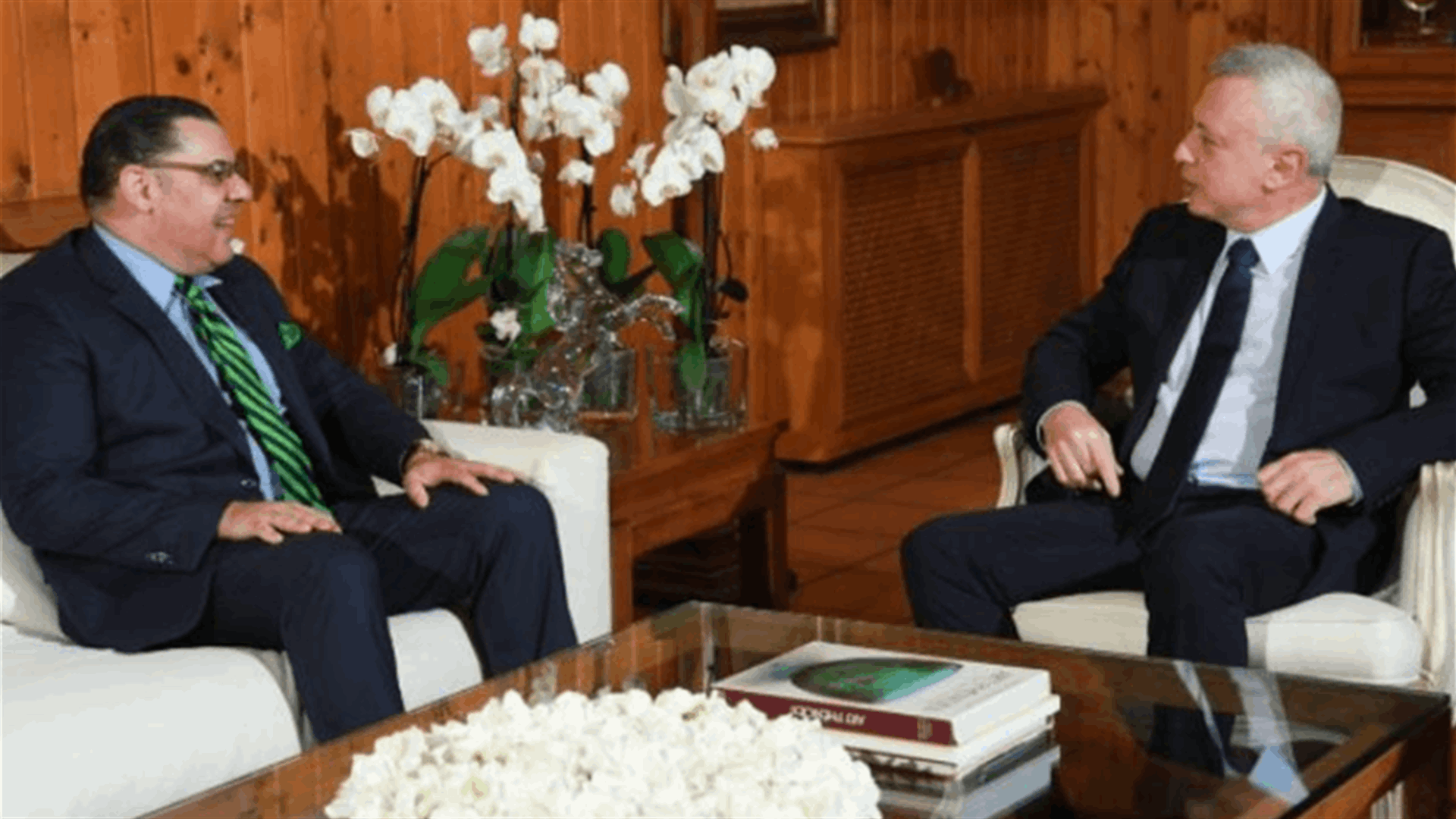 Frangieh receives Egyptian Ambassador, discusses recent developments