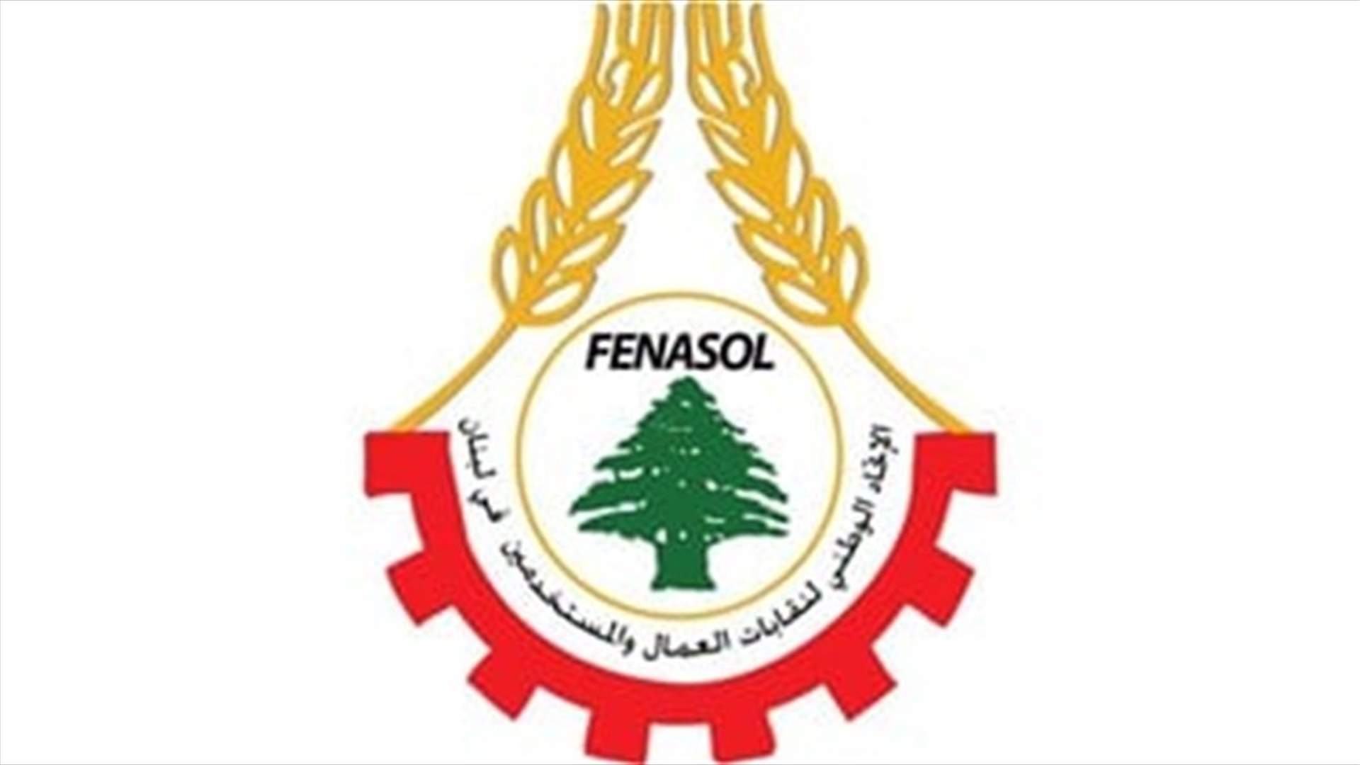 فروع FENASOL جنوبا:  اقفال الادارات العامة بداية عصيان مدني شامل
