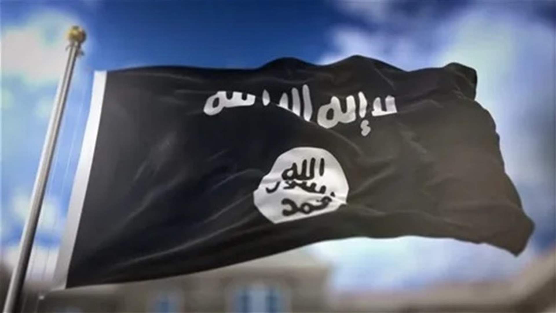 التحالف الدولي يعلن اعتقال مسؤول كبير في تنظيم الدولة الإسلامية في سوريا