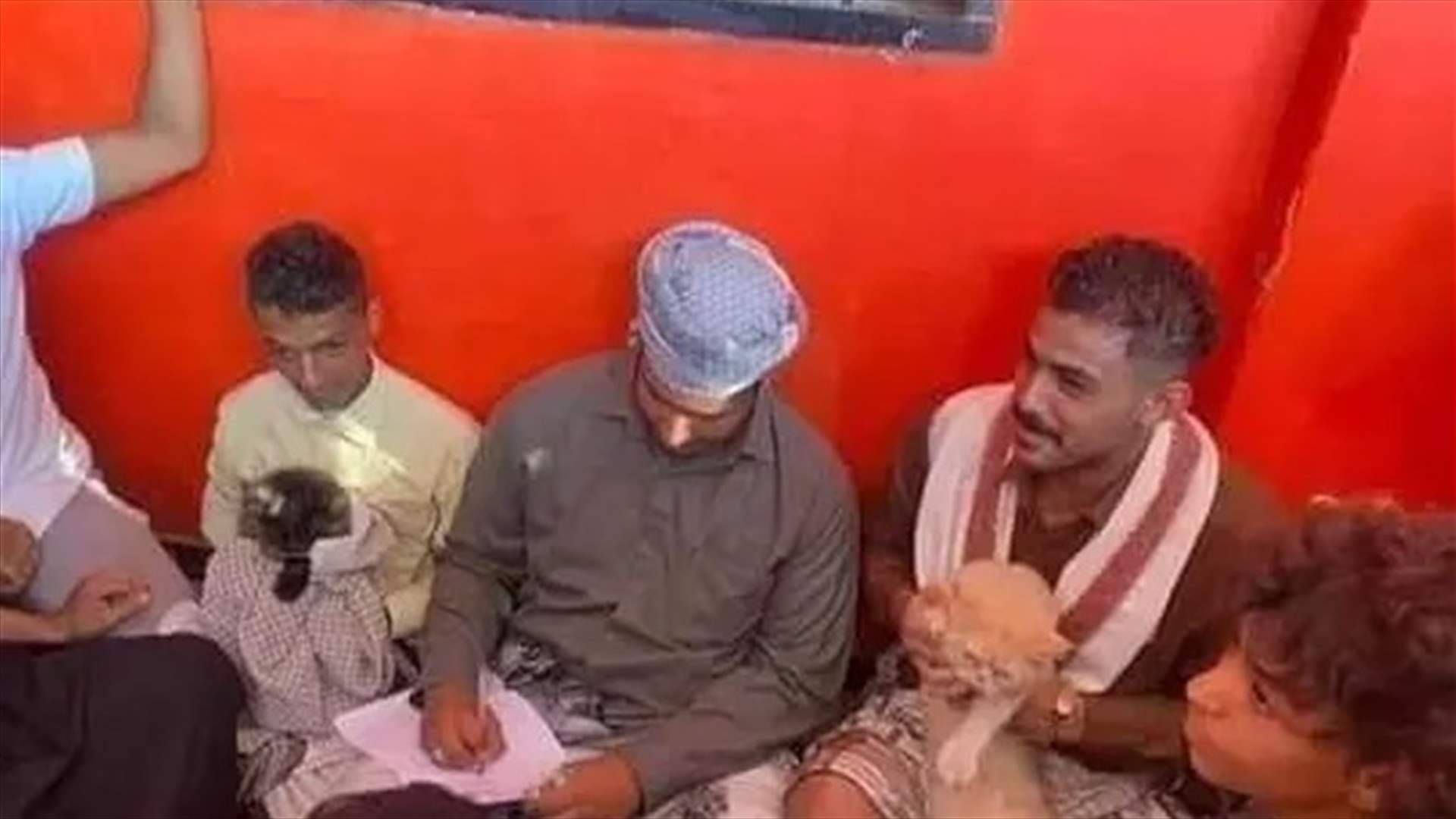 في واقعة غريبة باليمن... عقد قران قطين بمأذون شرعي وحضور معازيم