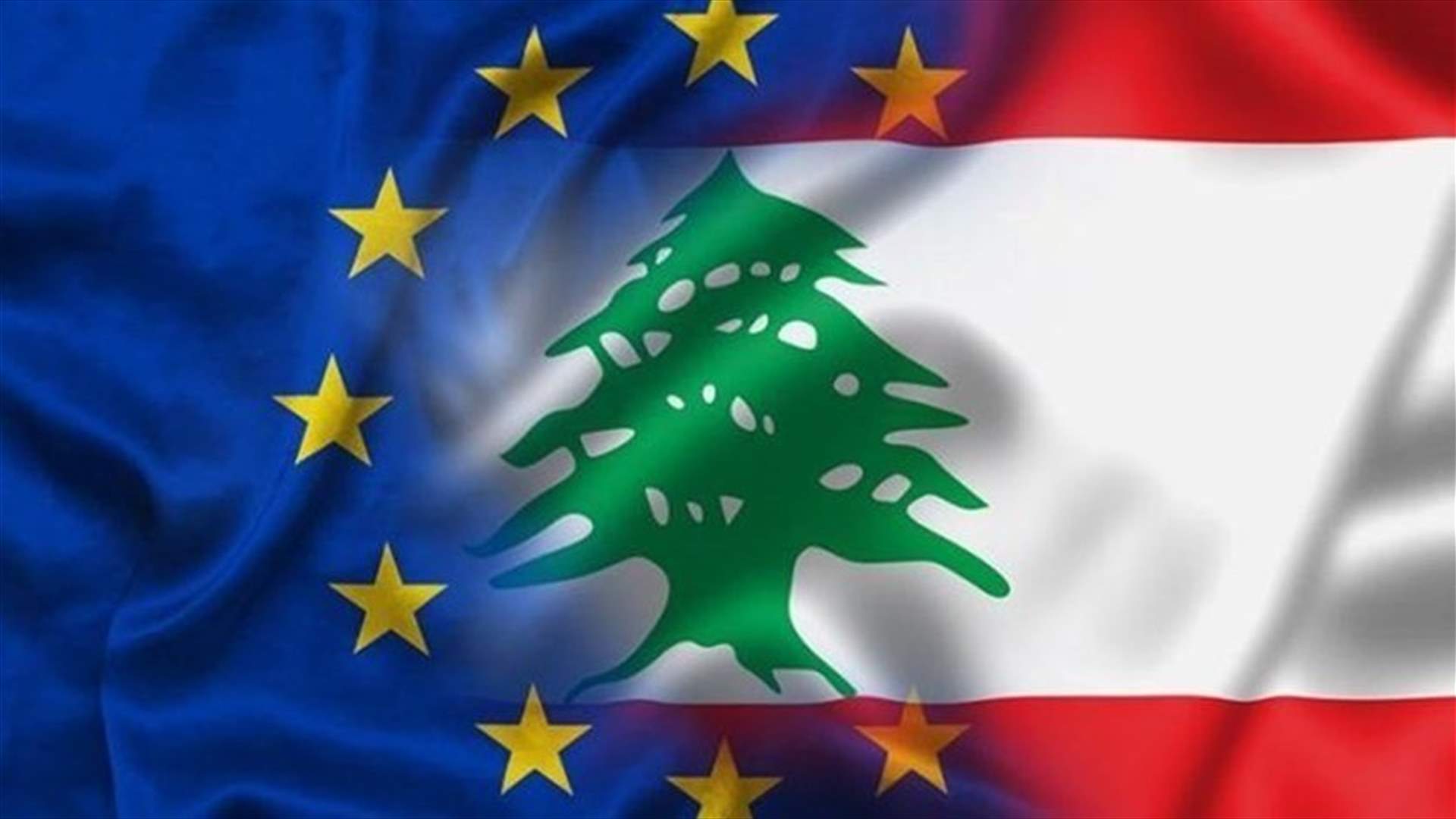 EU EOM sets up round table to put elections recommendations into action