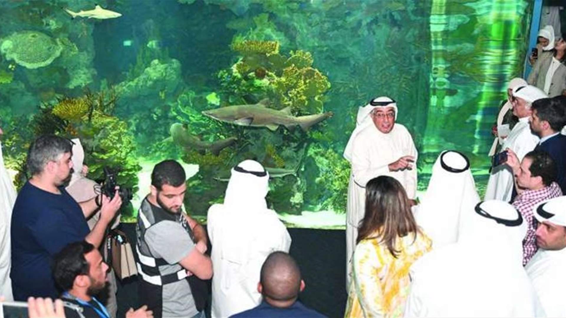 &quot;بدر وبدرية&quot;... إنقاذ سلالة قرش مهددة بالانقراض في الكويت
