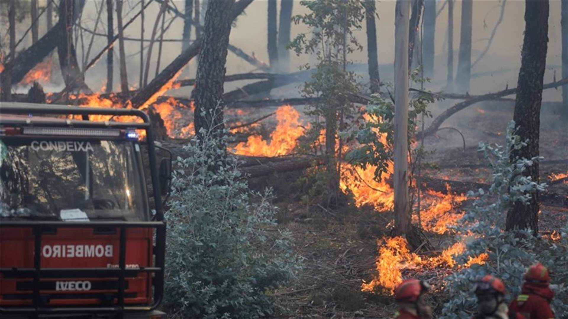 إعلان حال الطوارئ في البرتغال بسبب الحرائق