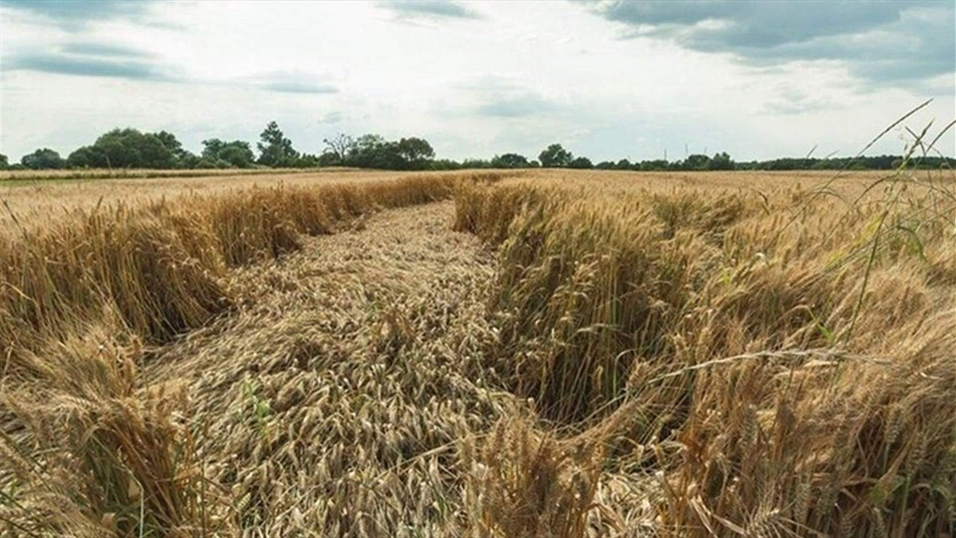 Russia and Ukraine try to solve grain crisis in Turkey